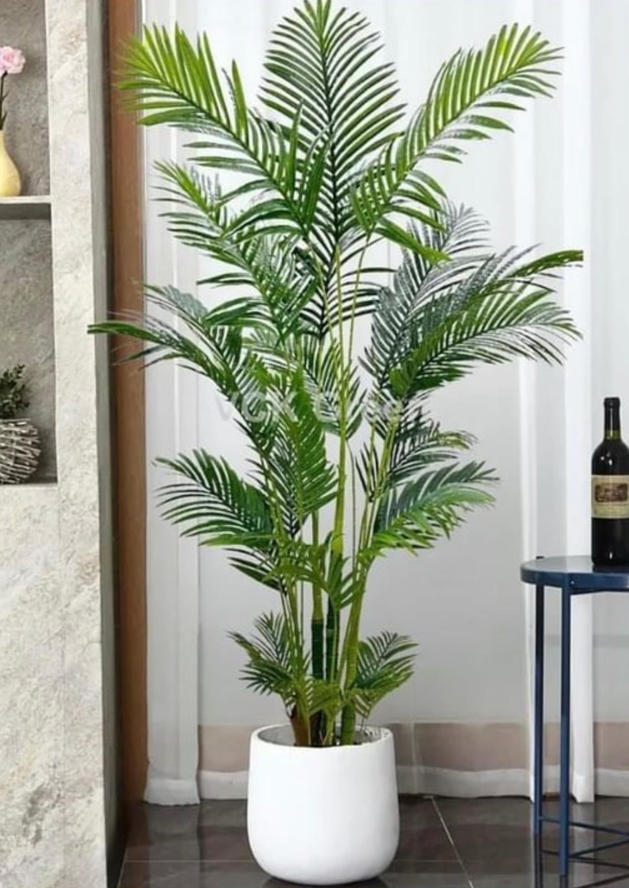 areca palm in white pot Areca with Ceramic planter – Fantasia Florist