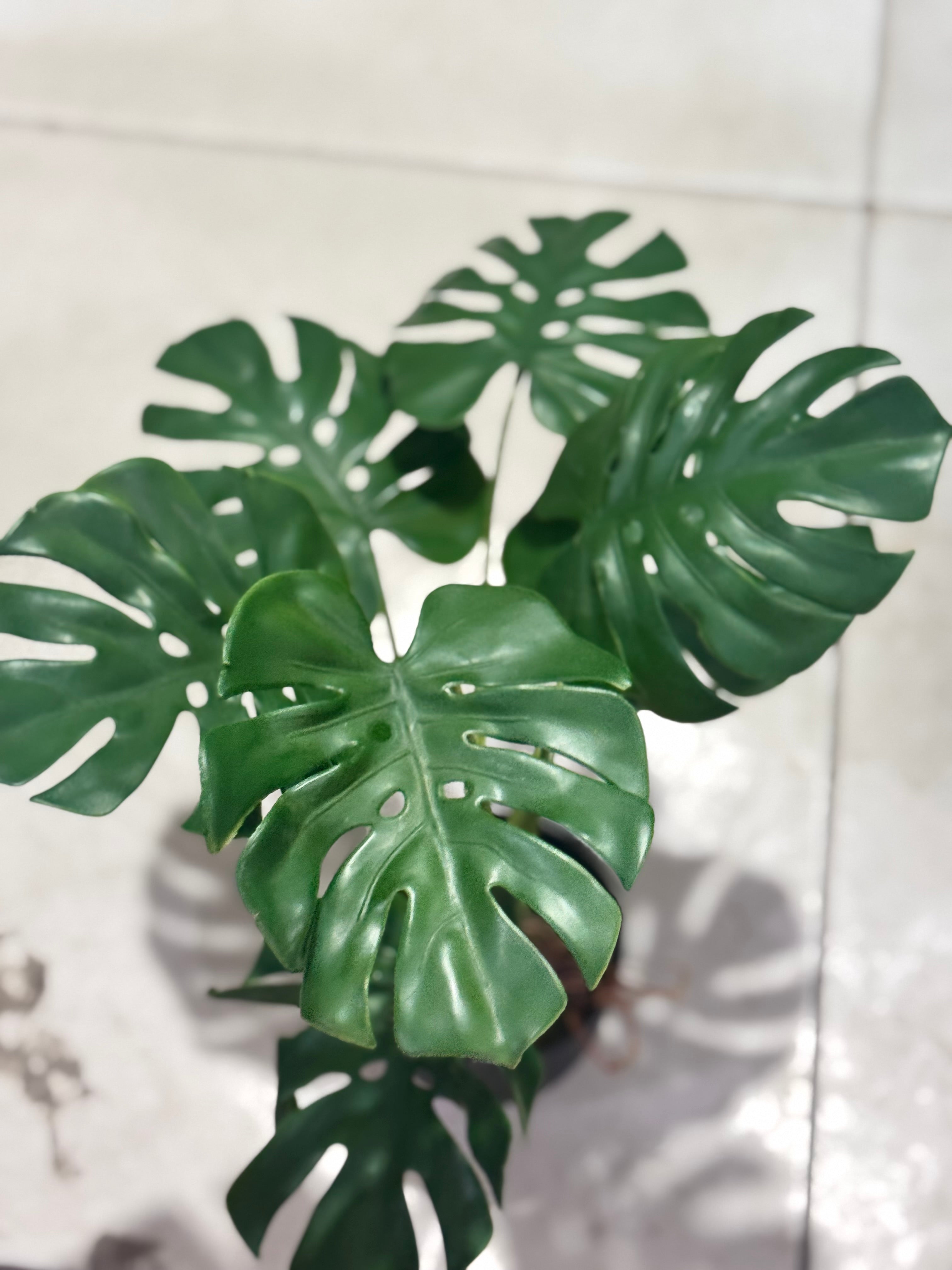 monstera deliciosa artificial Artificial Mini Monstera Plant — Real Look Green Beauty – Fantasia Florist