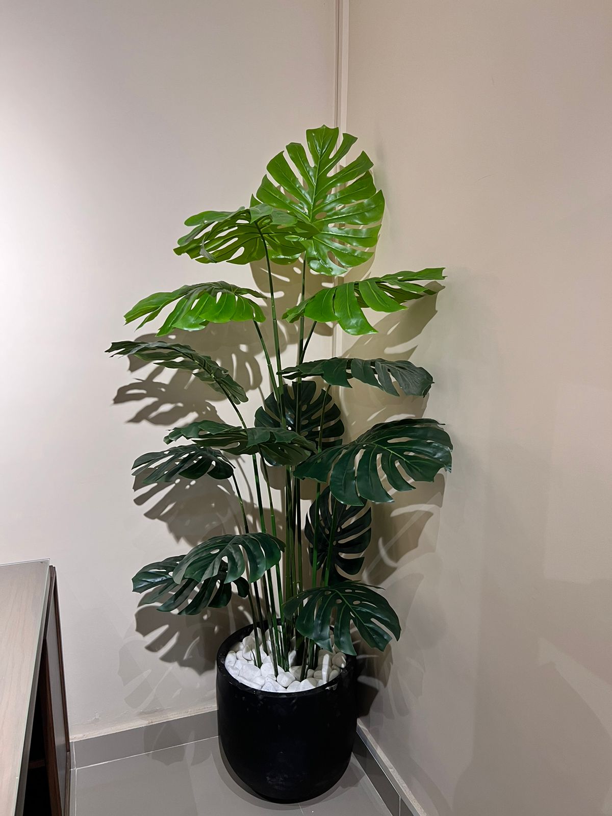 planter monstera Monstera Plant with Planter – Fantasia Florist