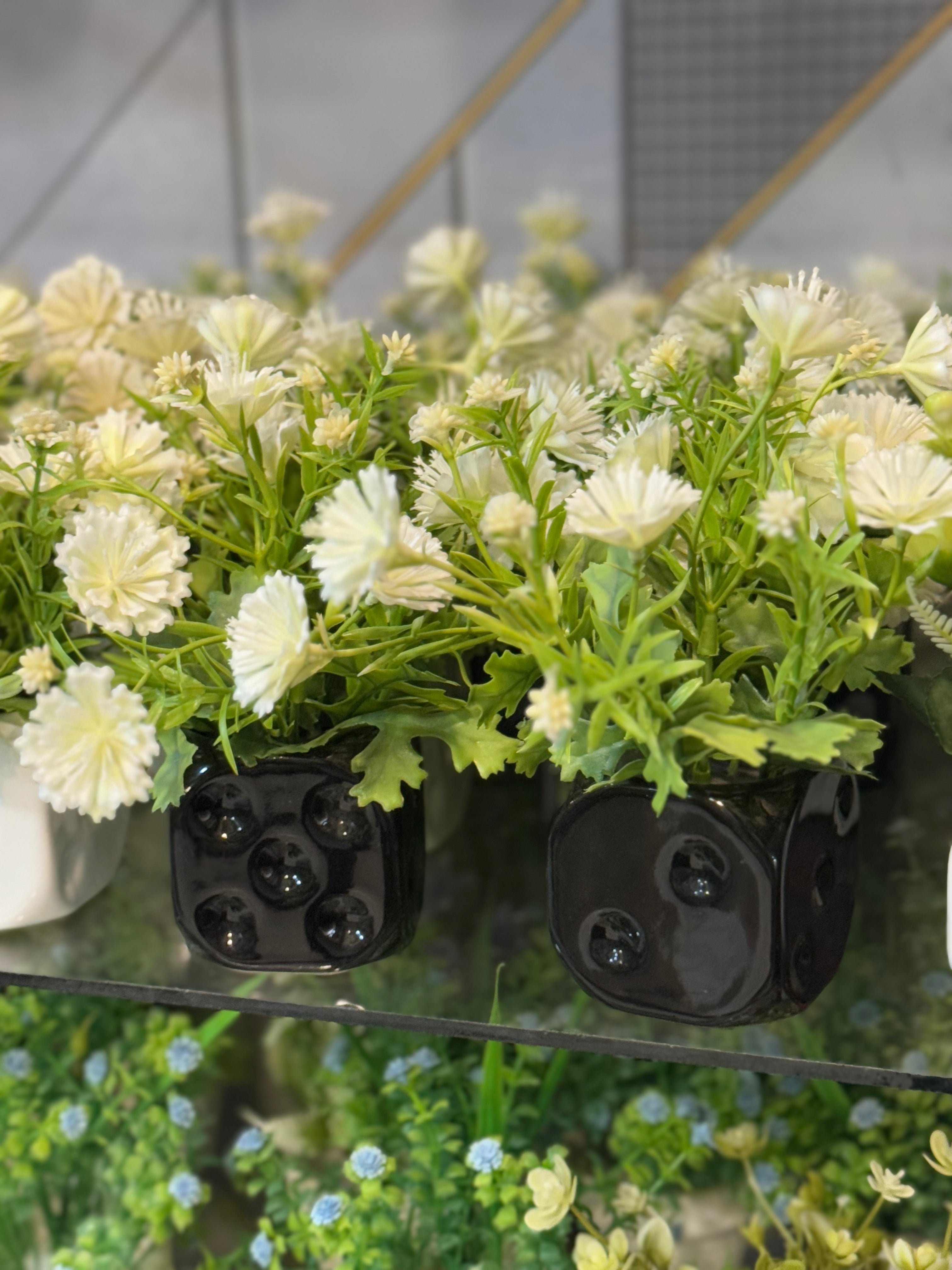 dice plant pot Ceramic dice pot – Fantasia Florist