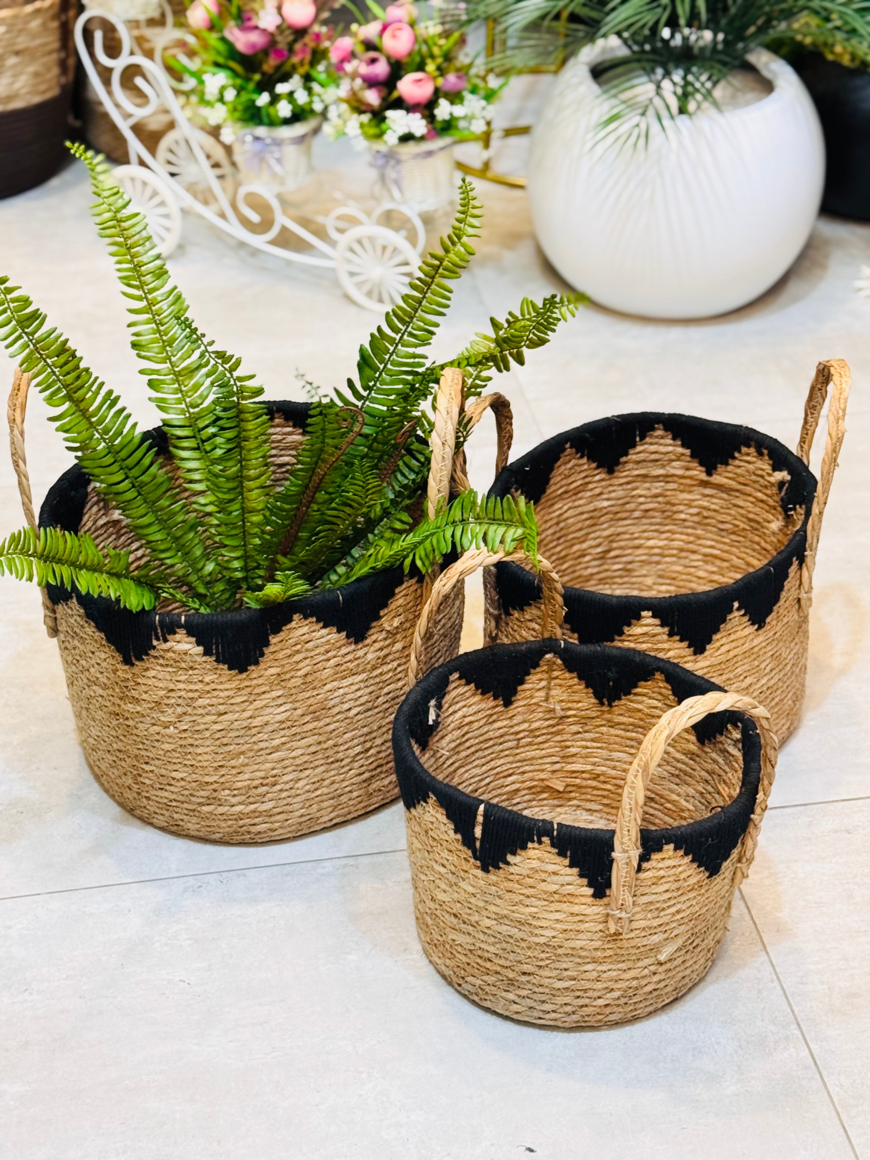 Cane planters