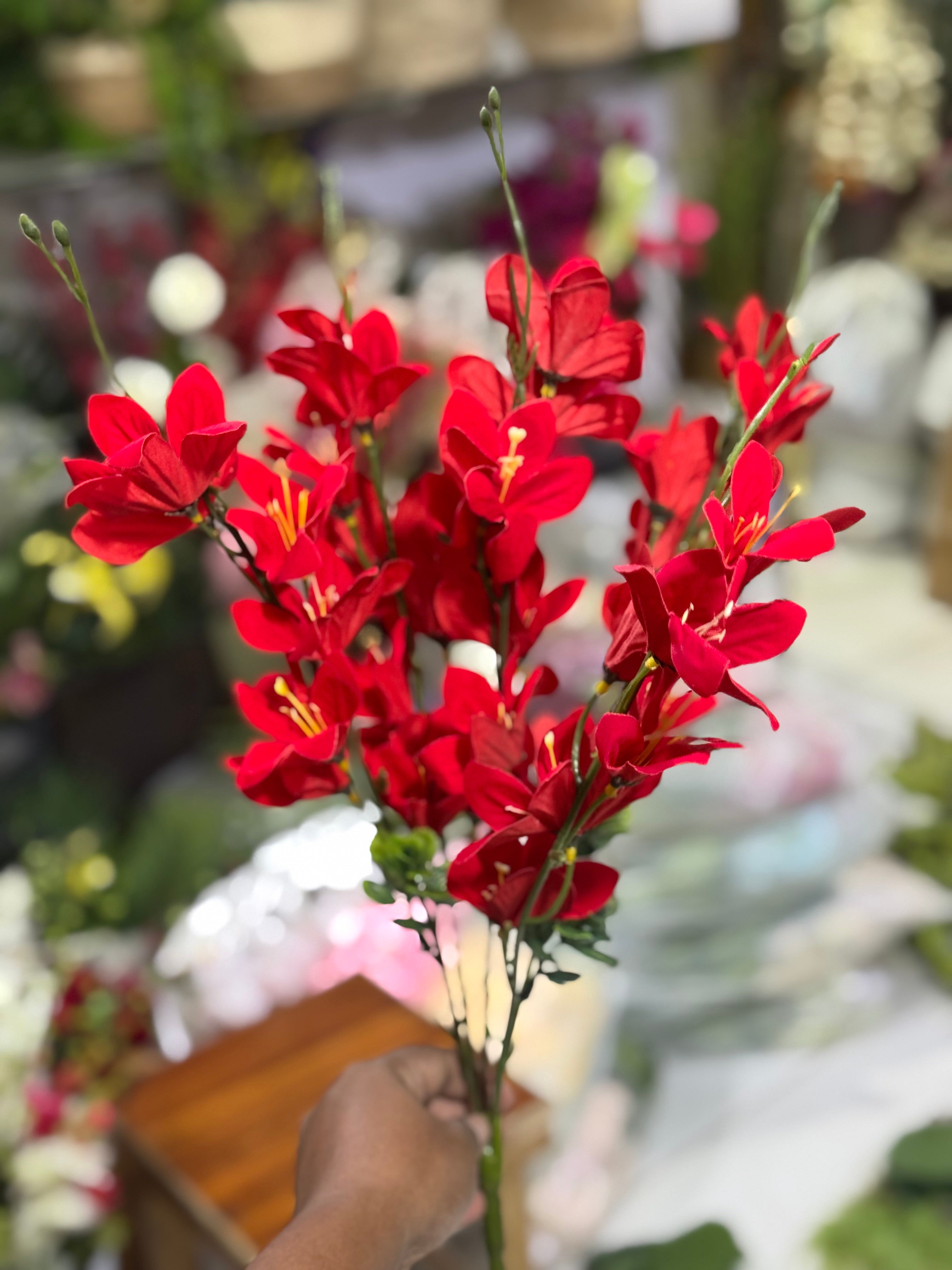Red blossom bunch