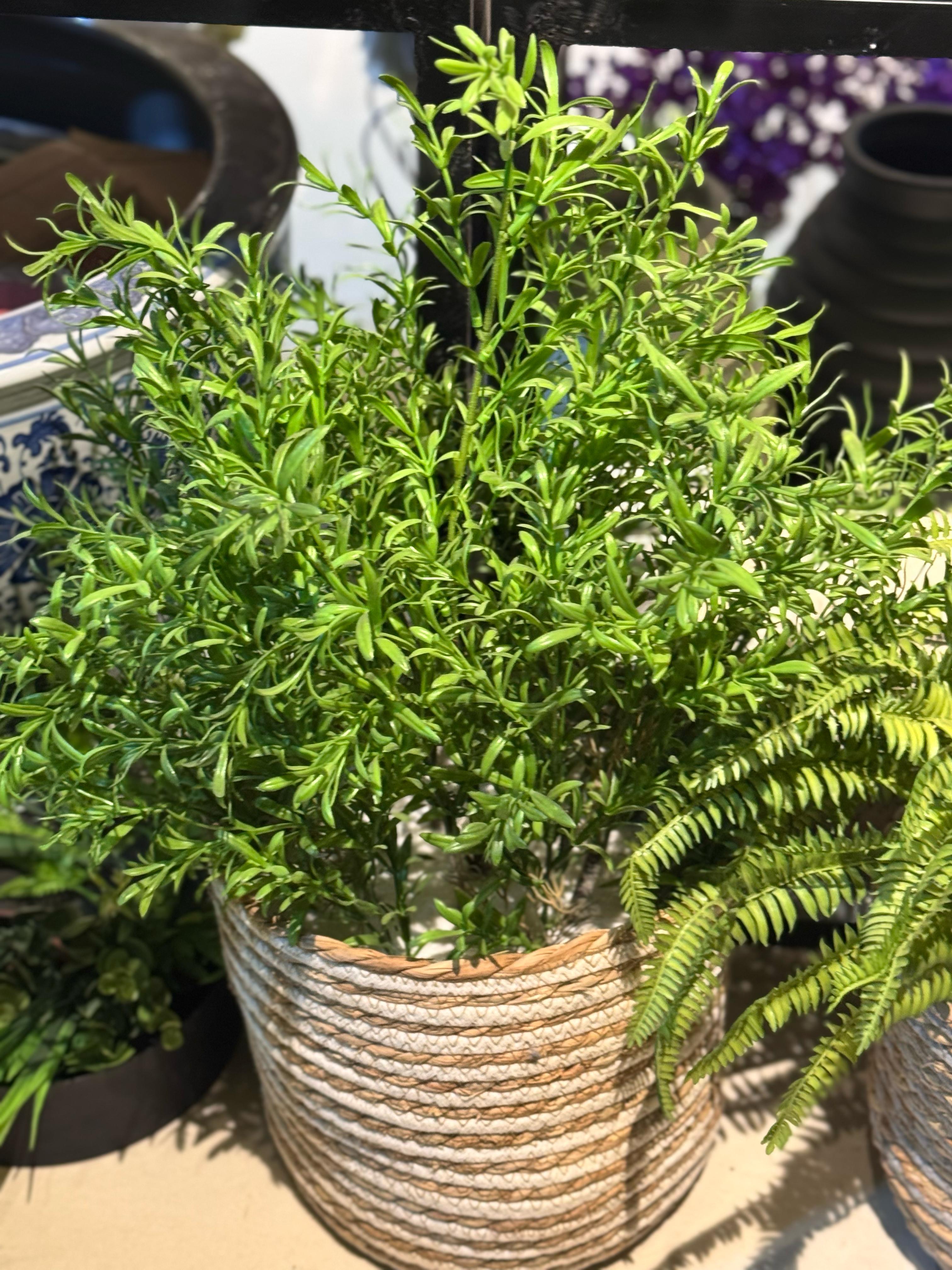 Cane Basket with Fillers