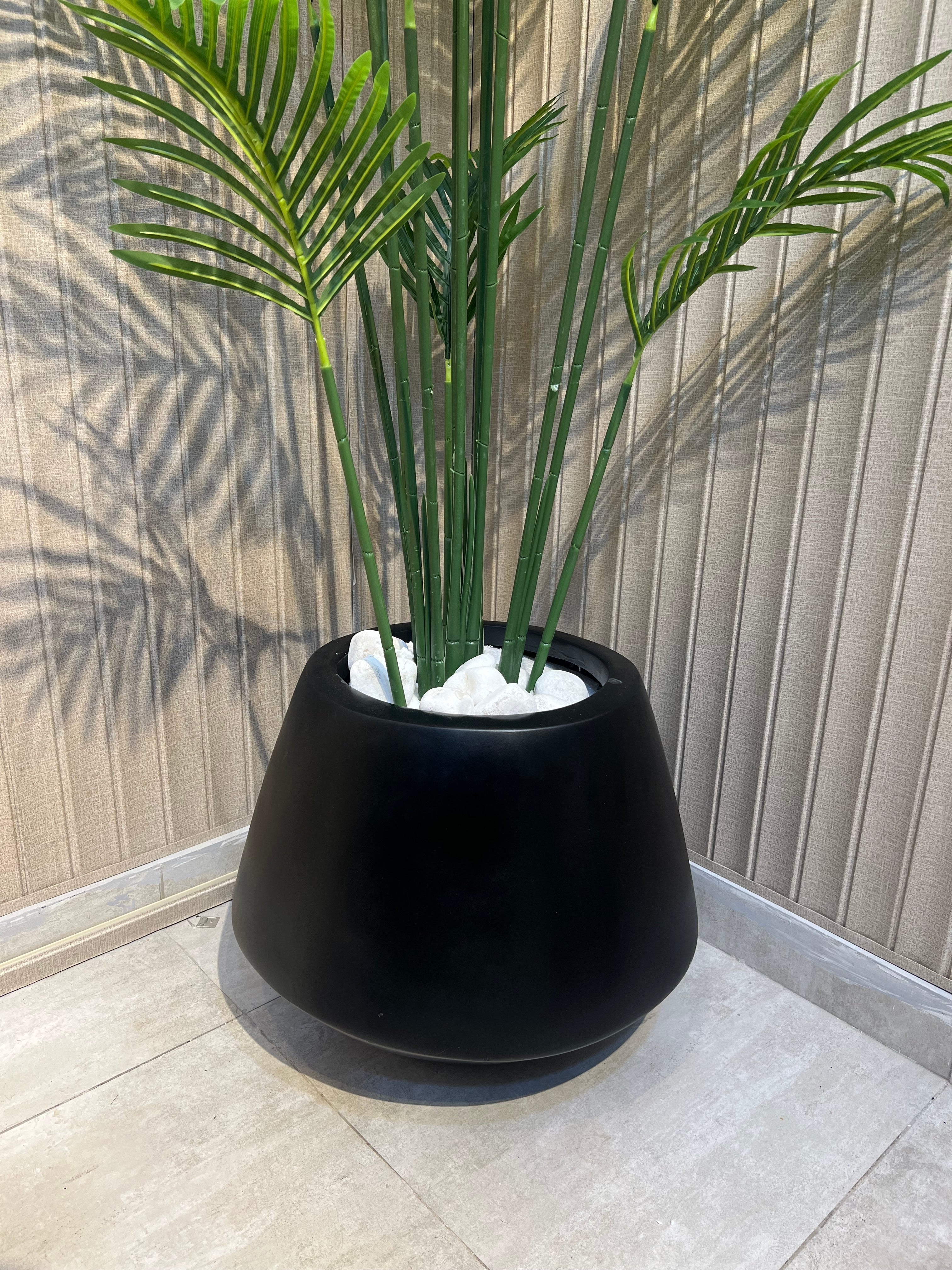 New Areca with trio Planter