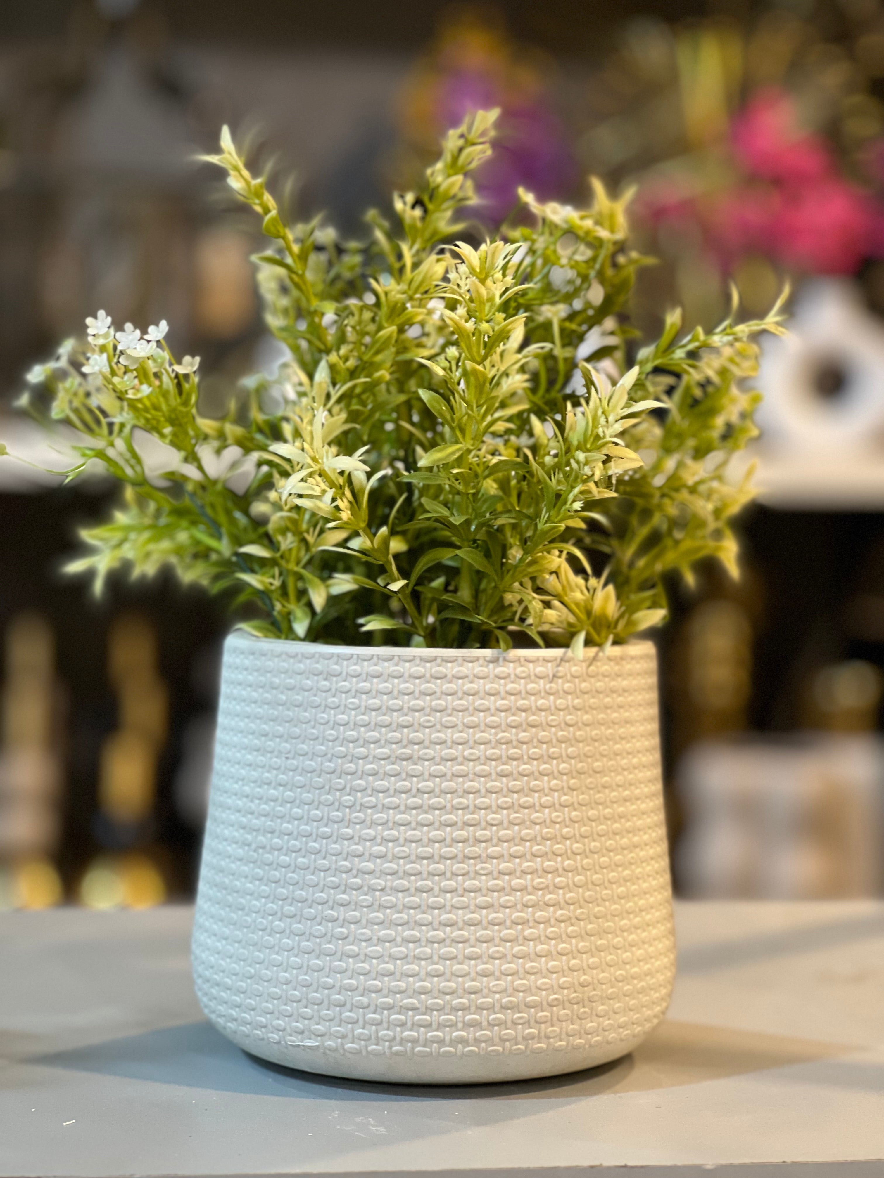 Exclusive fillers pots