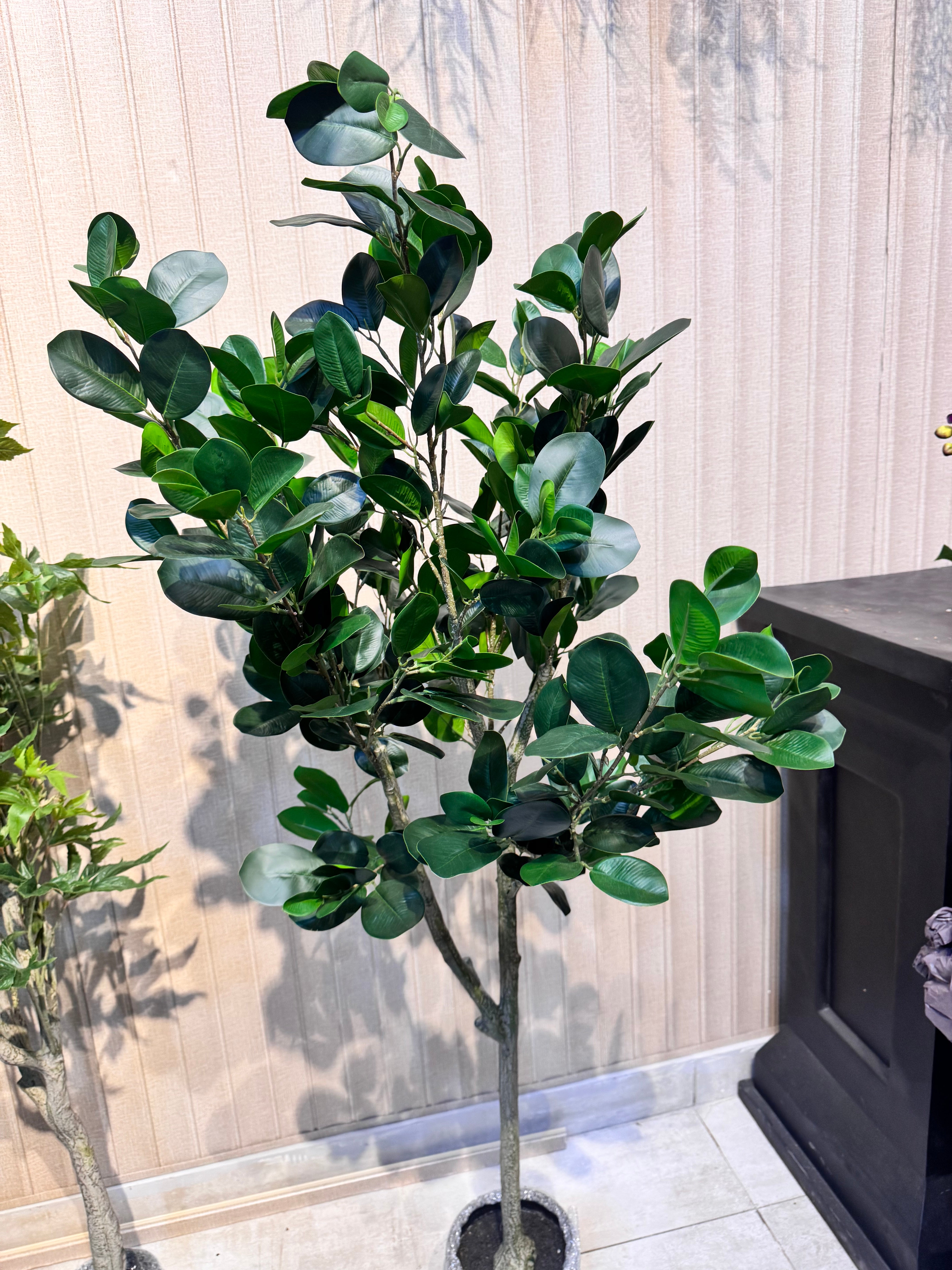 EXCLUSIVE REAL LOOKING PLANTS