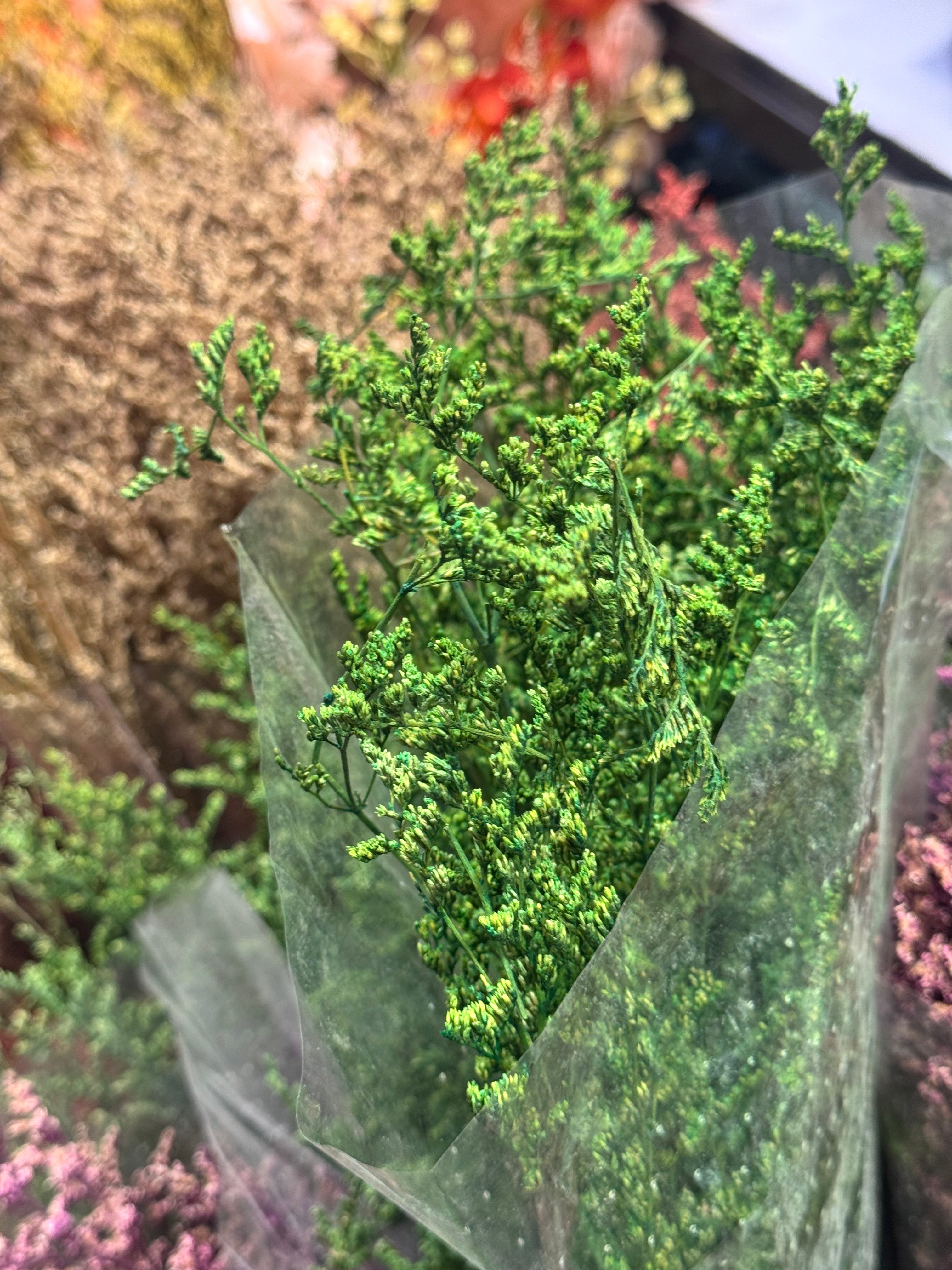 Premium Dried floral packet