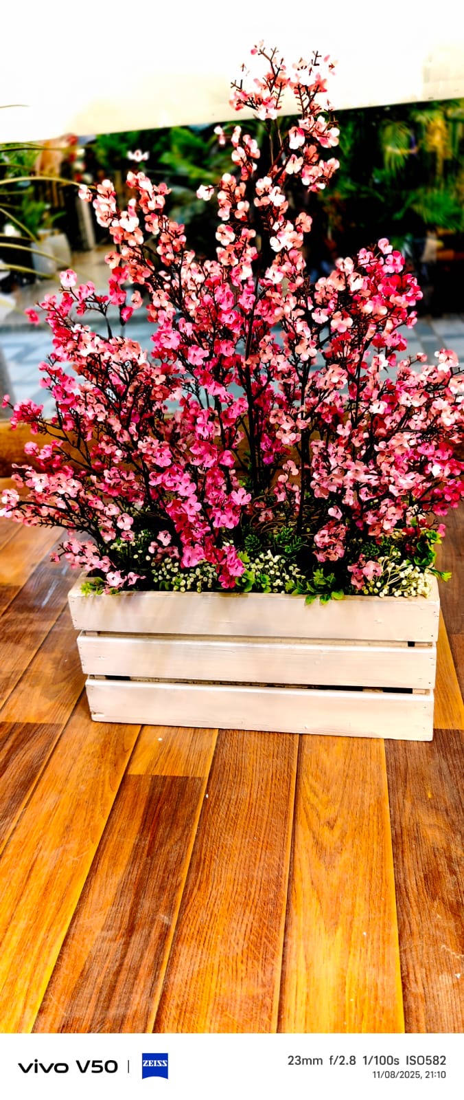 Gypso in Wooden Planter