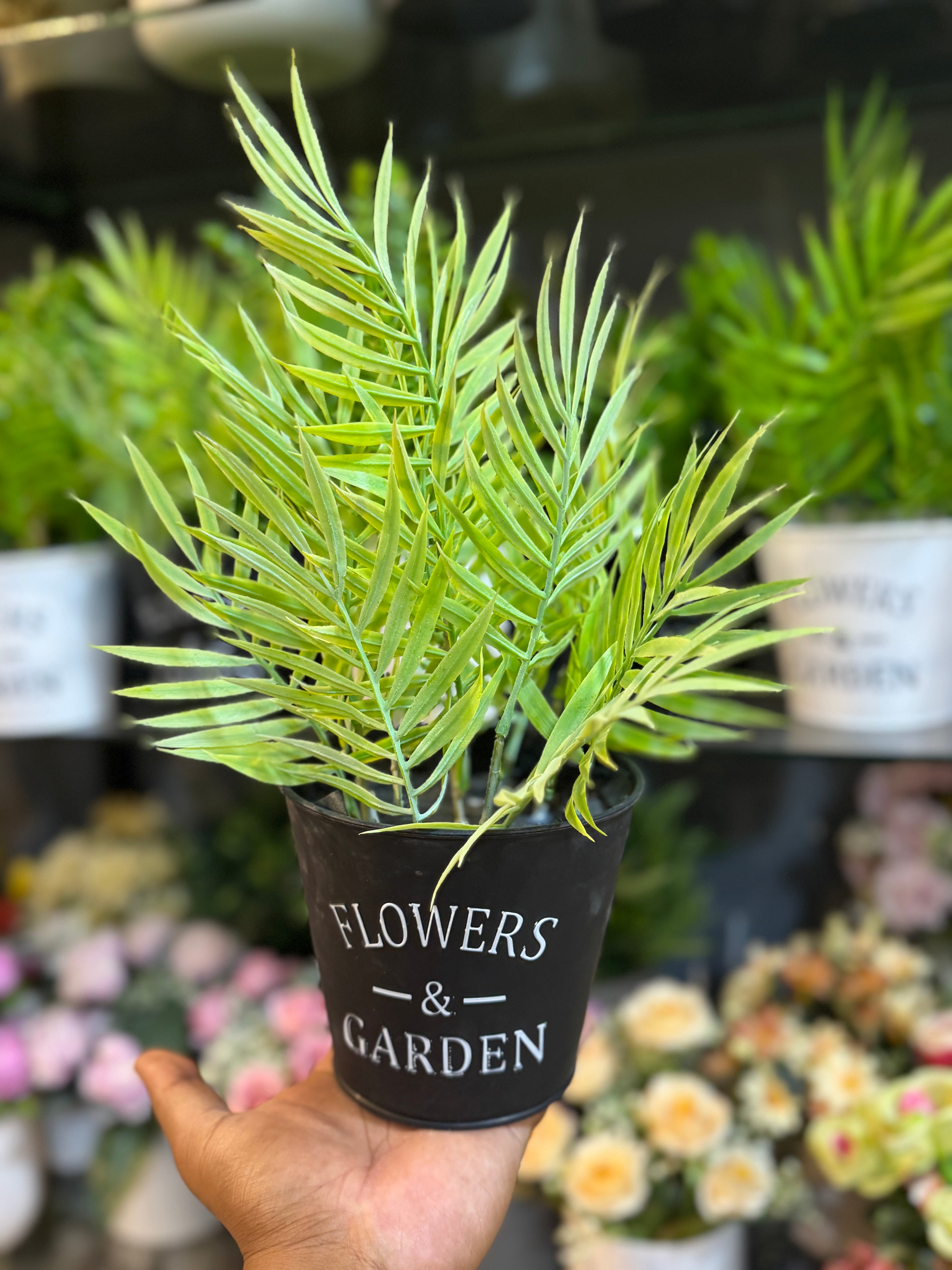 Exclusive Mini Palm pot
