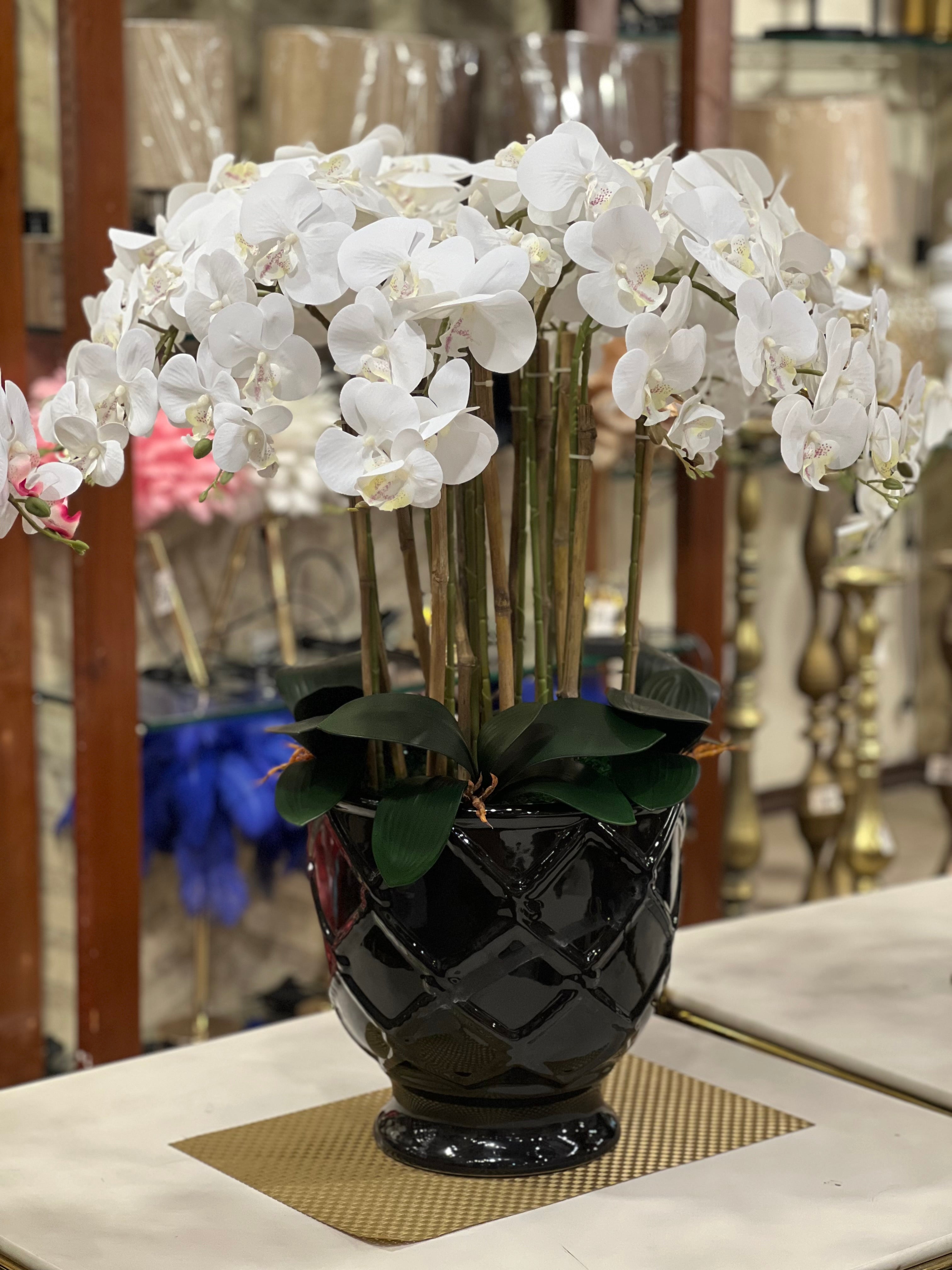 Ceramic Pot Orchid