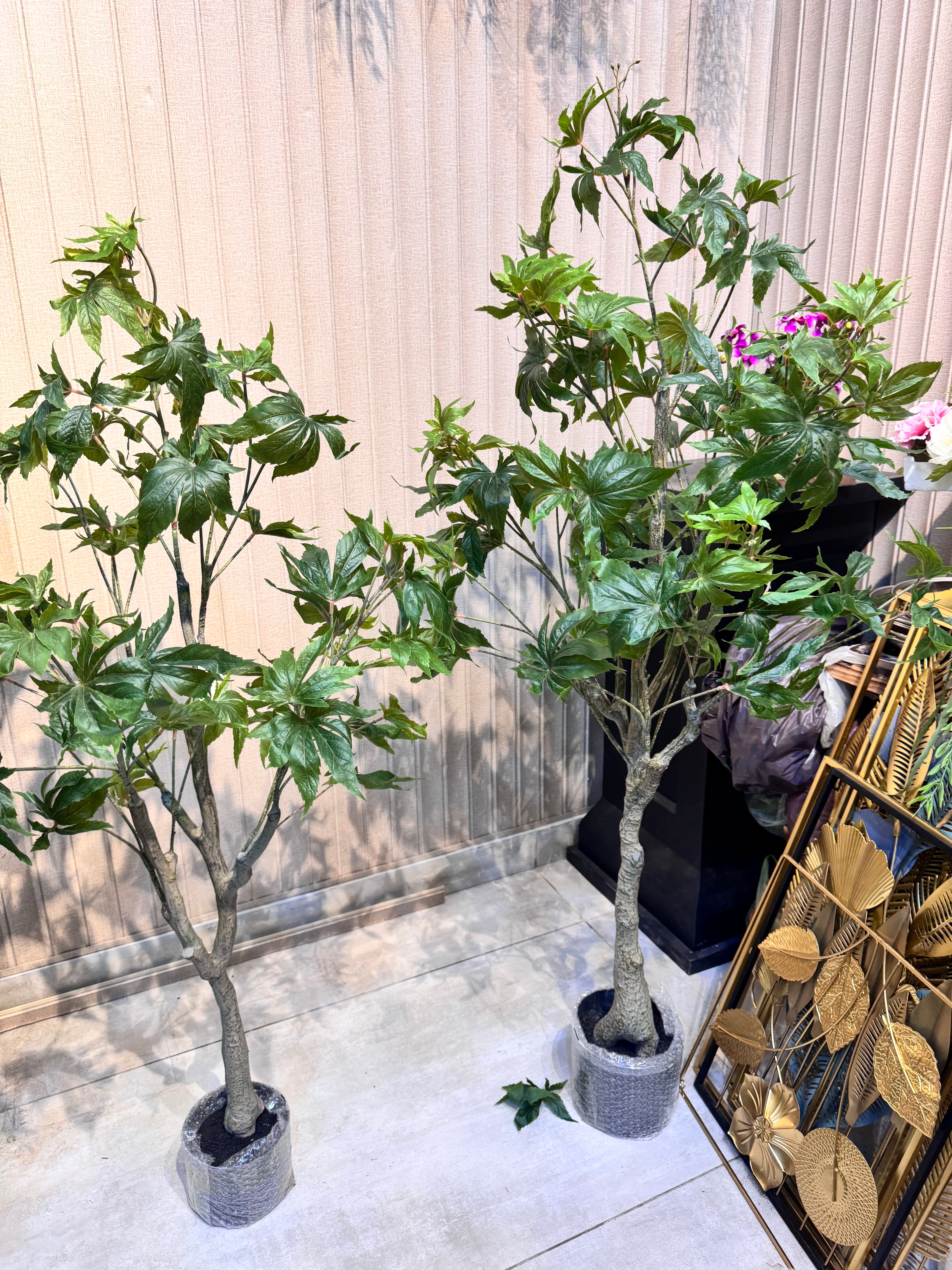 EXCLUSIVE REAL LOOKING PLANTS