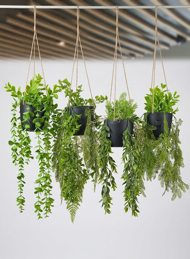 Artificial Hanging Plant Black Pot  Jute Rope