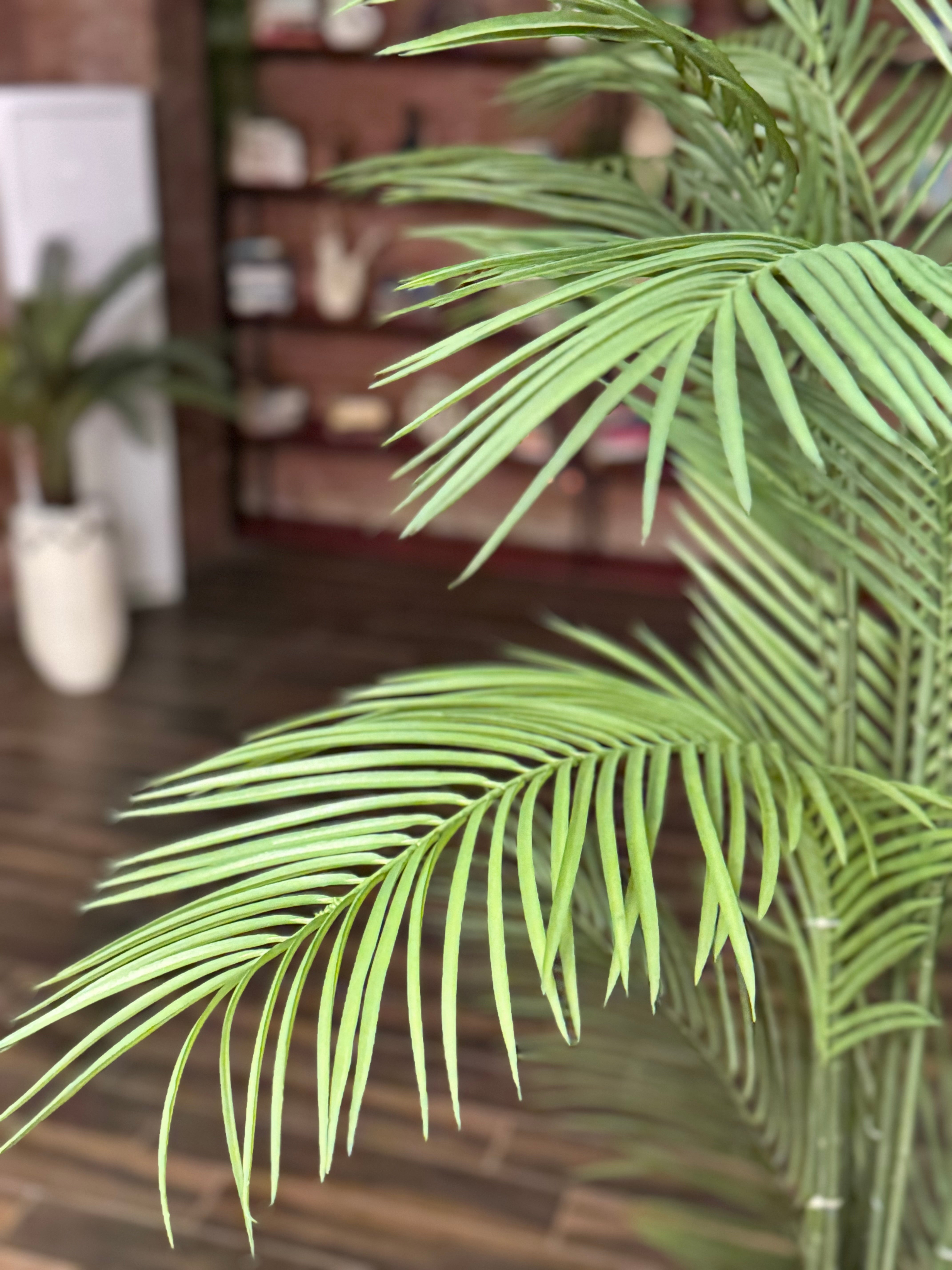 Sleek palm with signature fiberglass planter