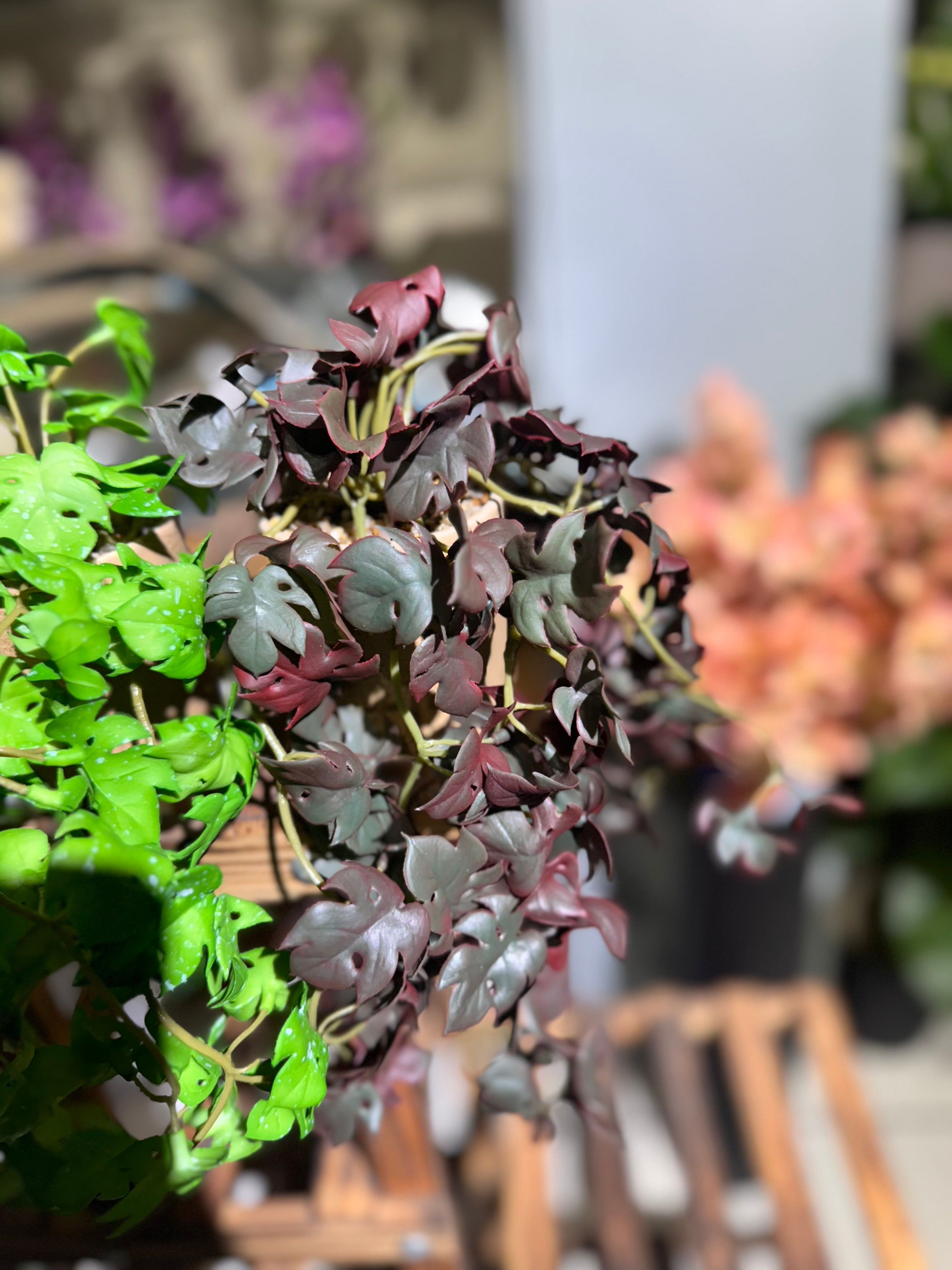 Real Looking hanging plants pot is