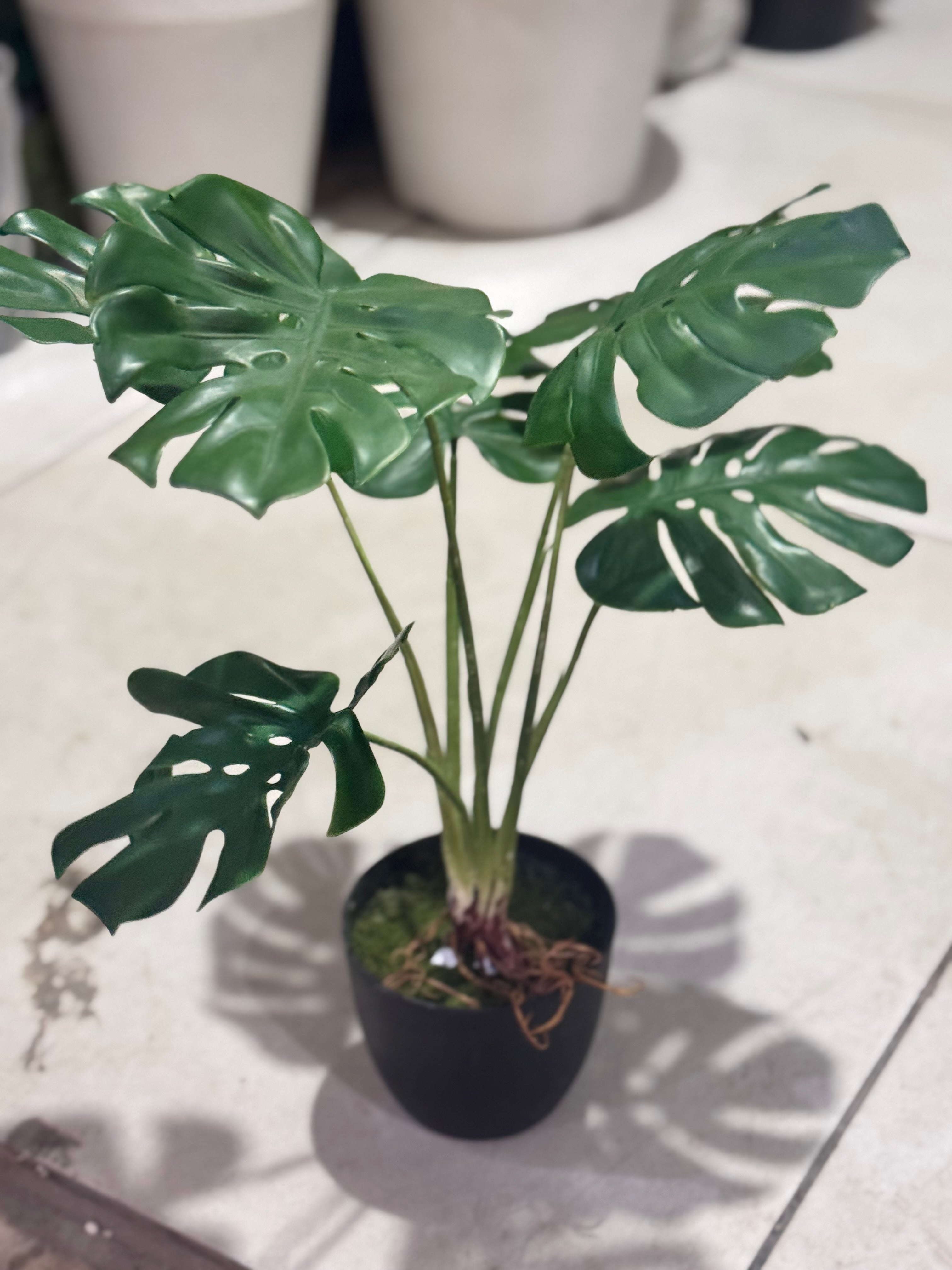 Artificial Mini Monstera Plant — Real Look Green Beauty