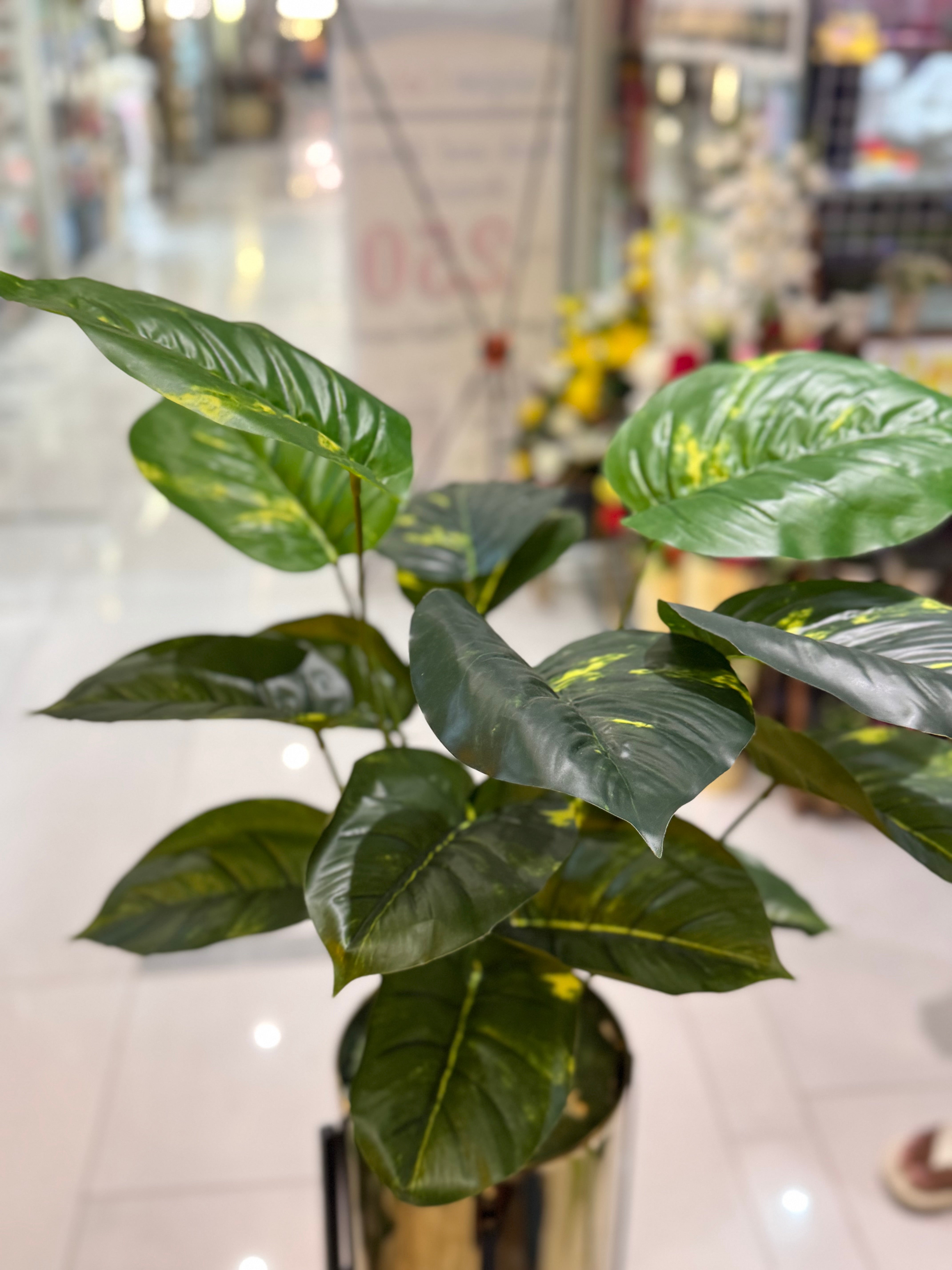 Century stand with plants