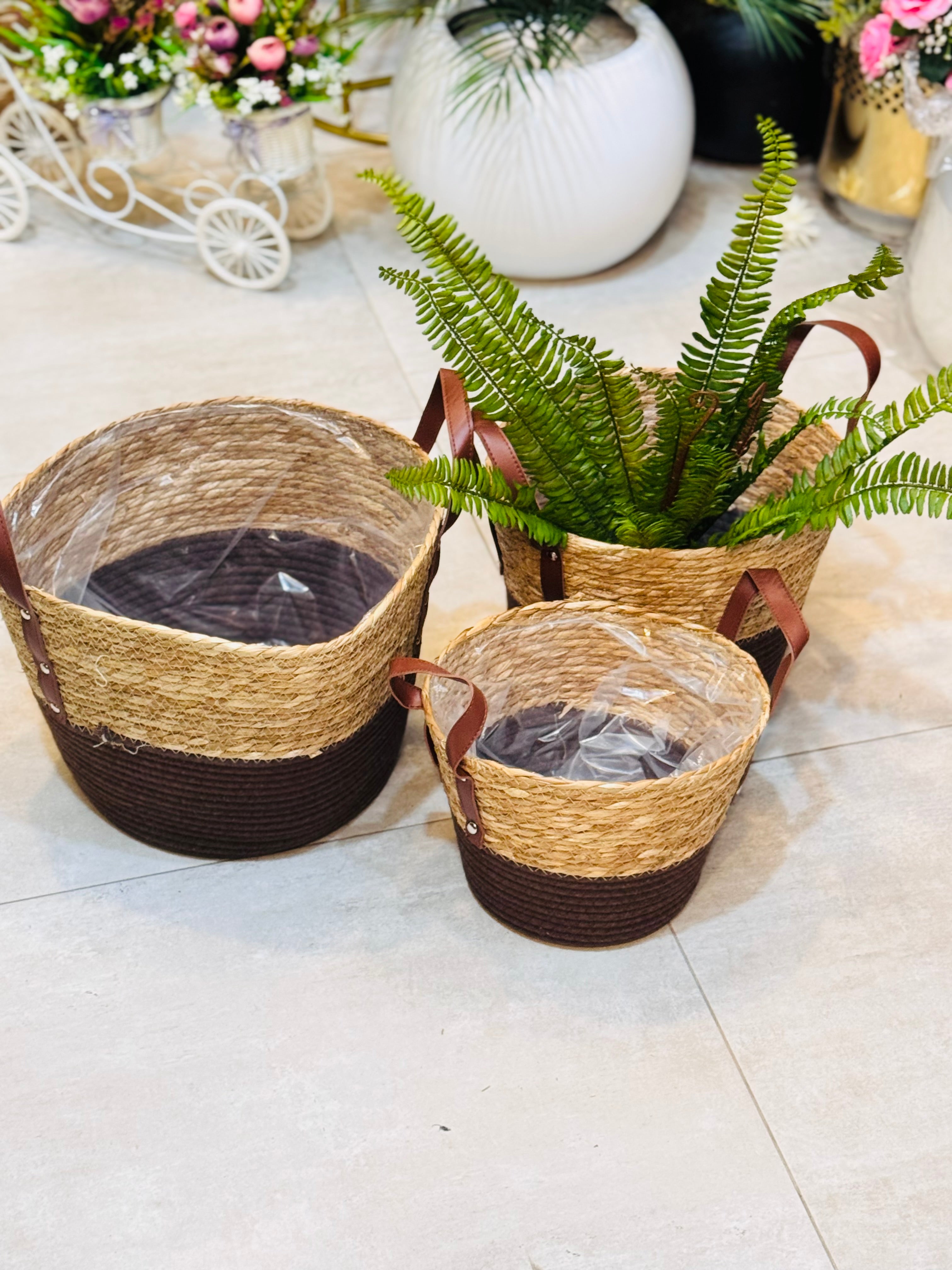 Cane planters