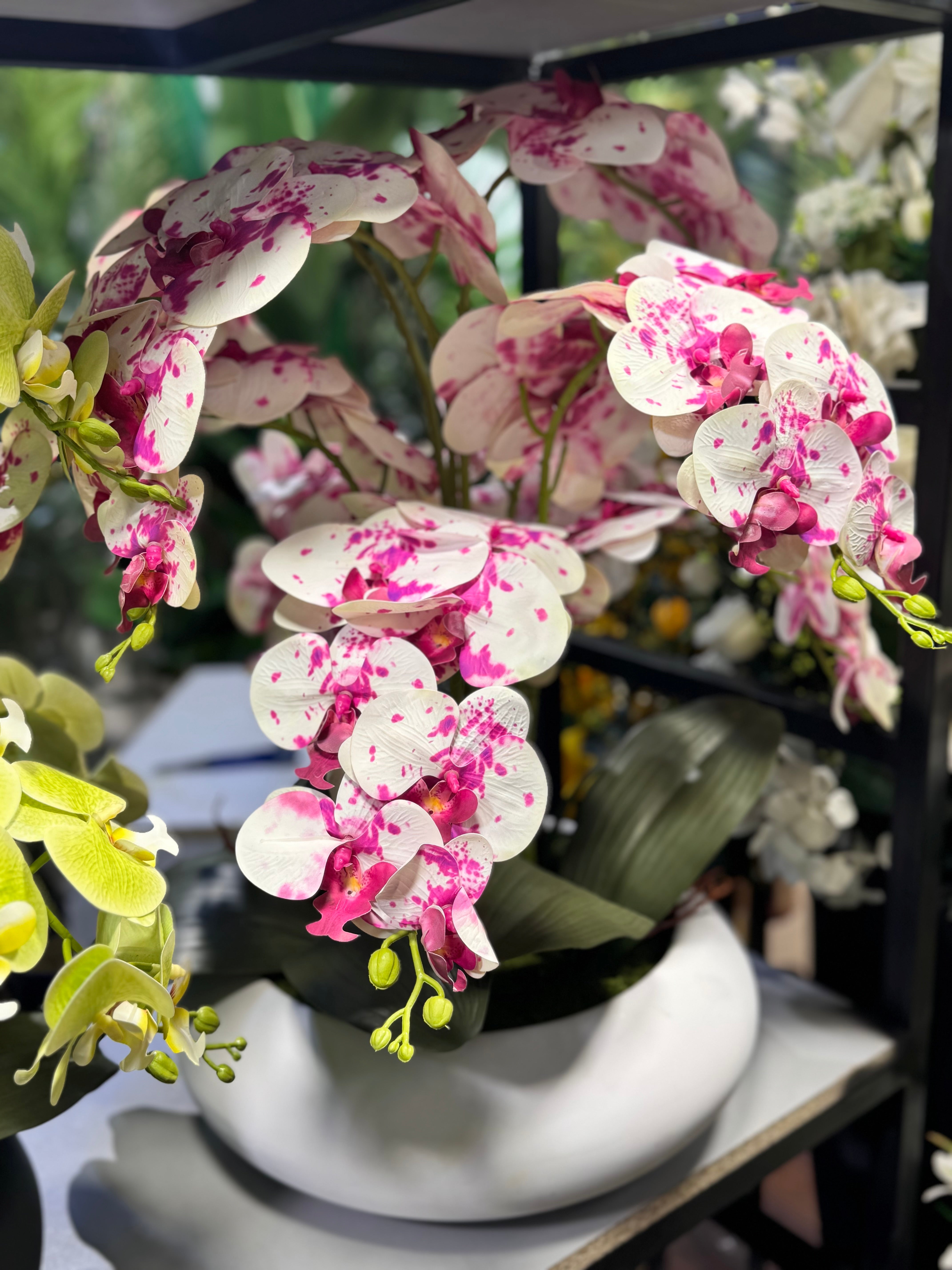 Orchids arrangements (Phalaenopsis)