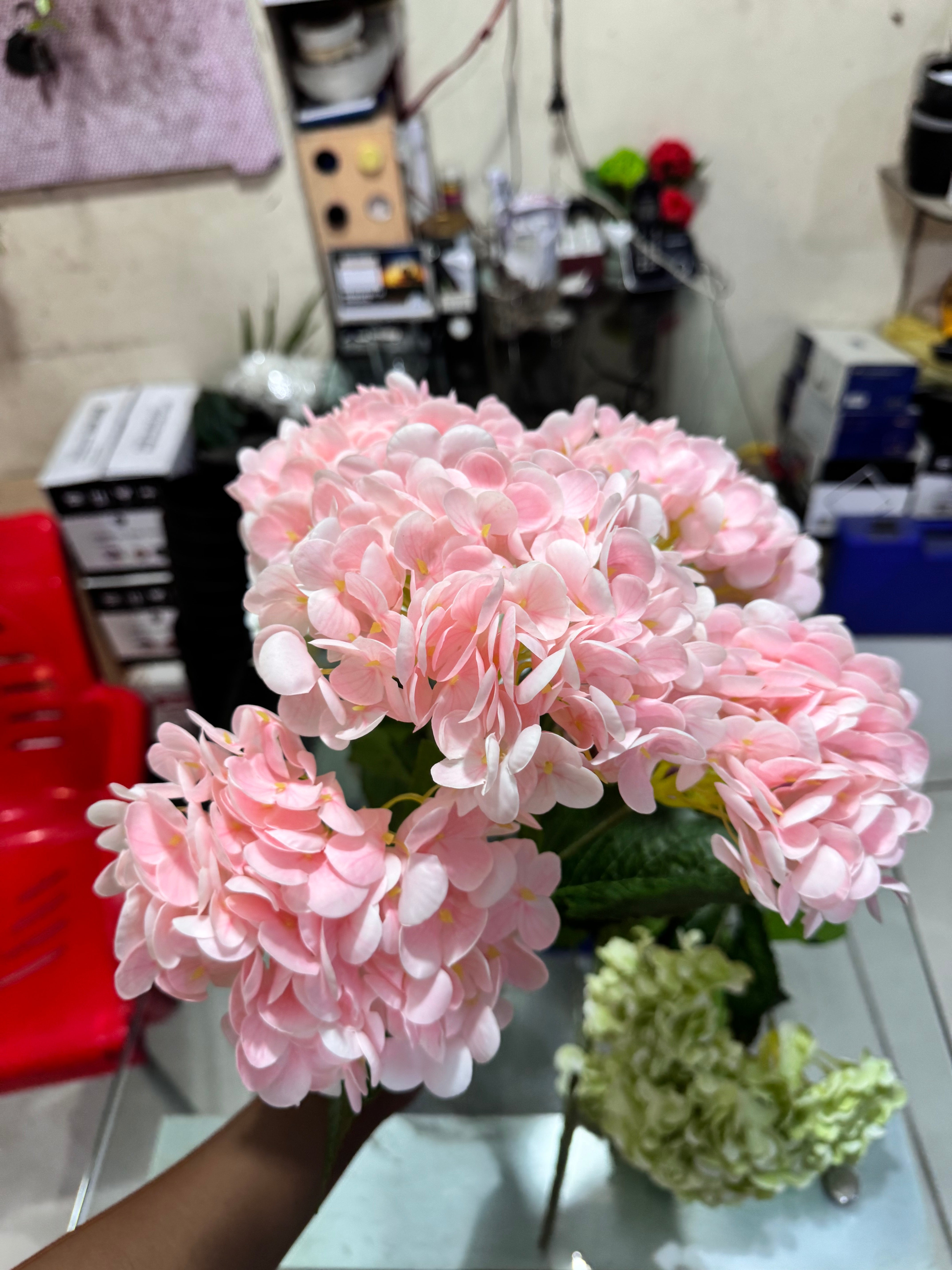 PREMIUM Hydrangeas Bunches