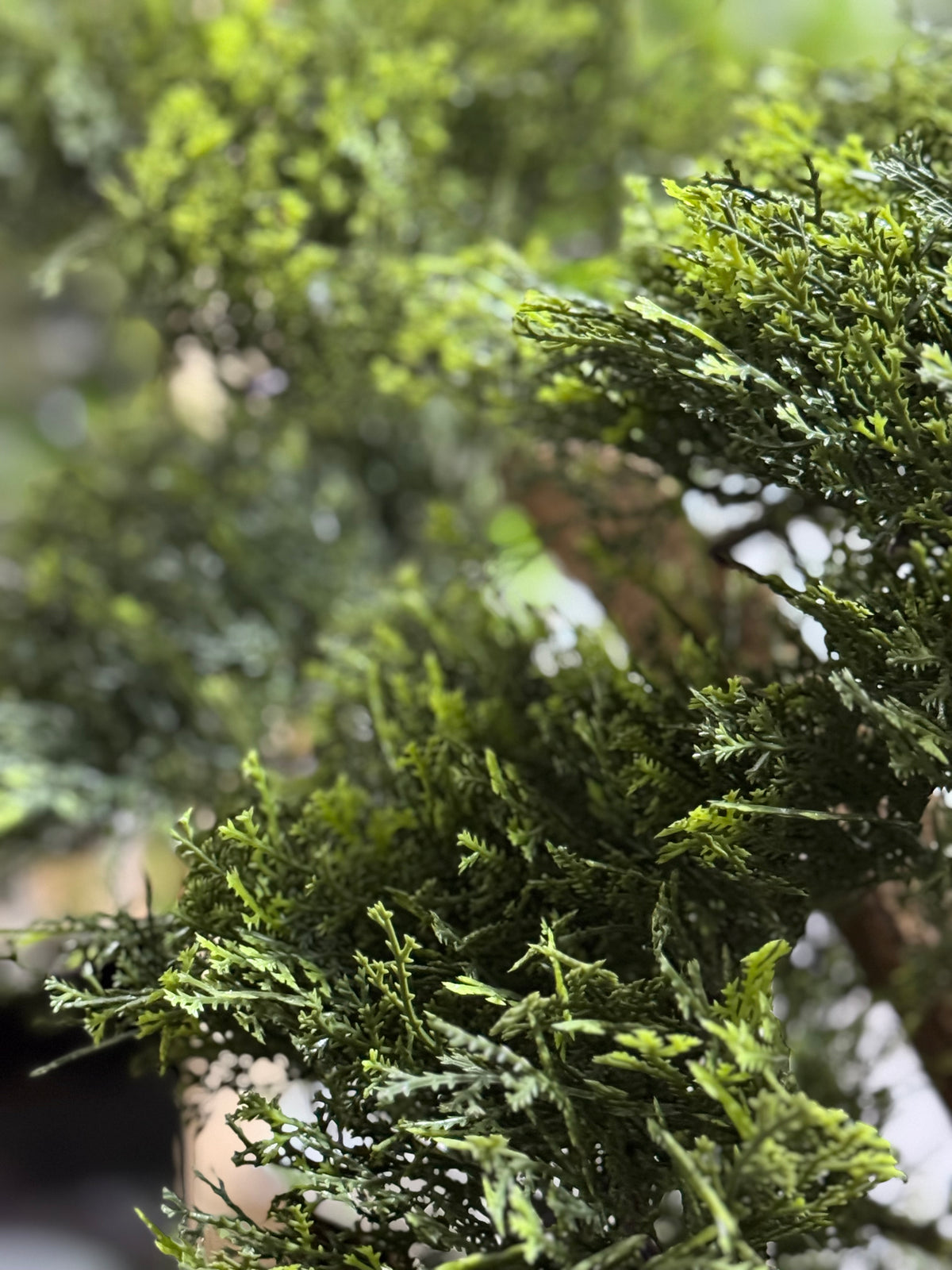 Artificial Juniper Bonsai Tree
