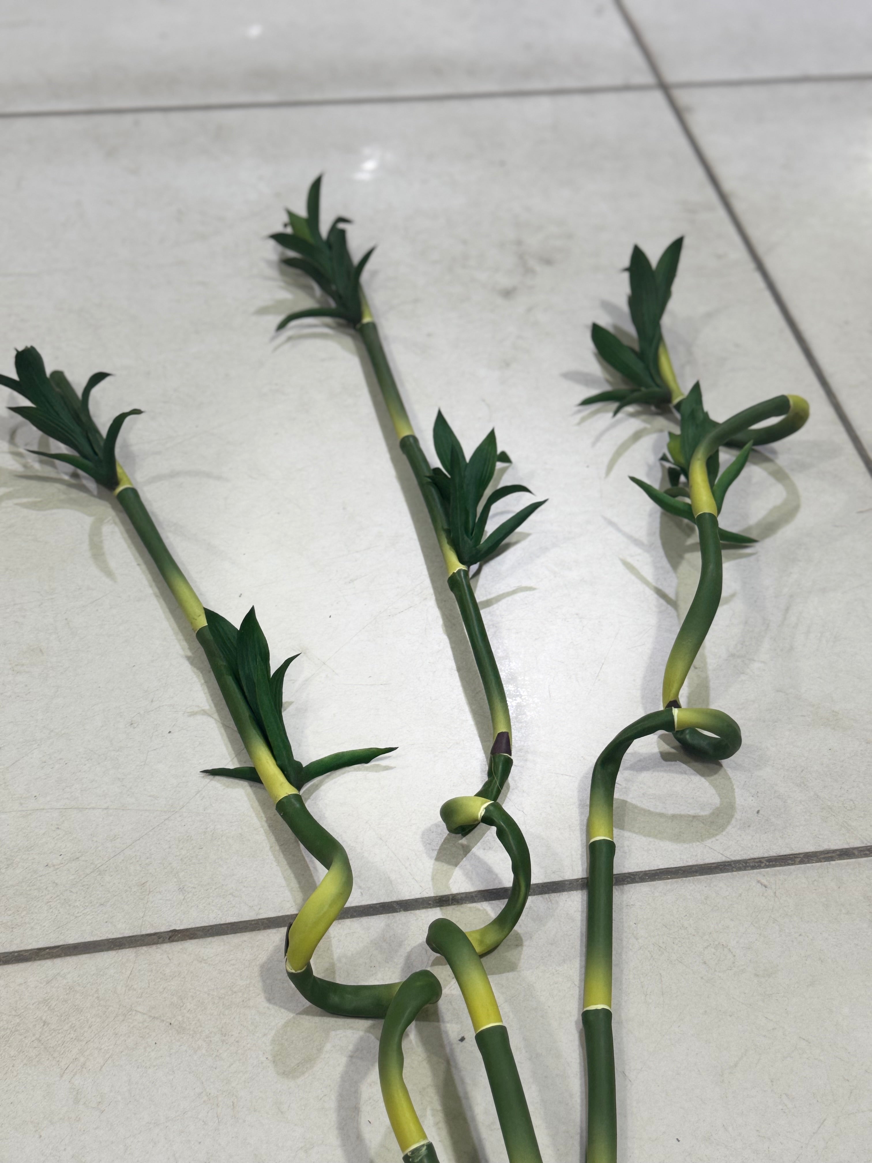 LUCKY BAMBO STEM