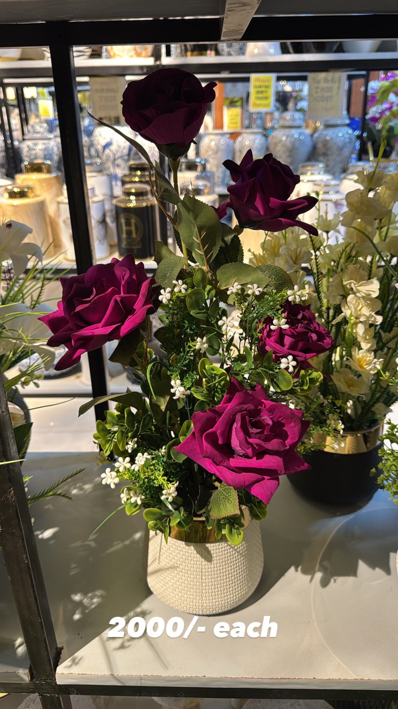 Roses In Small pot