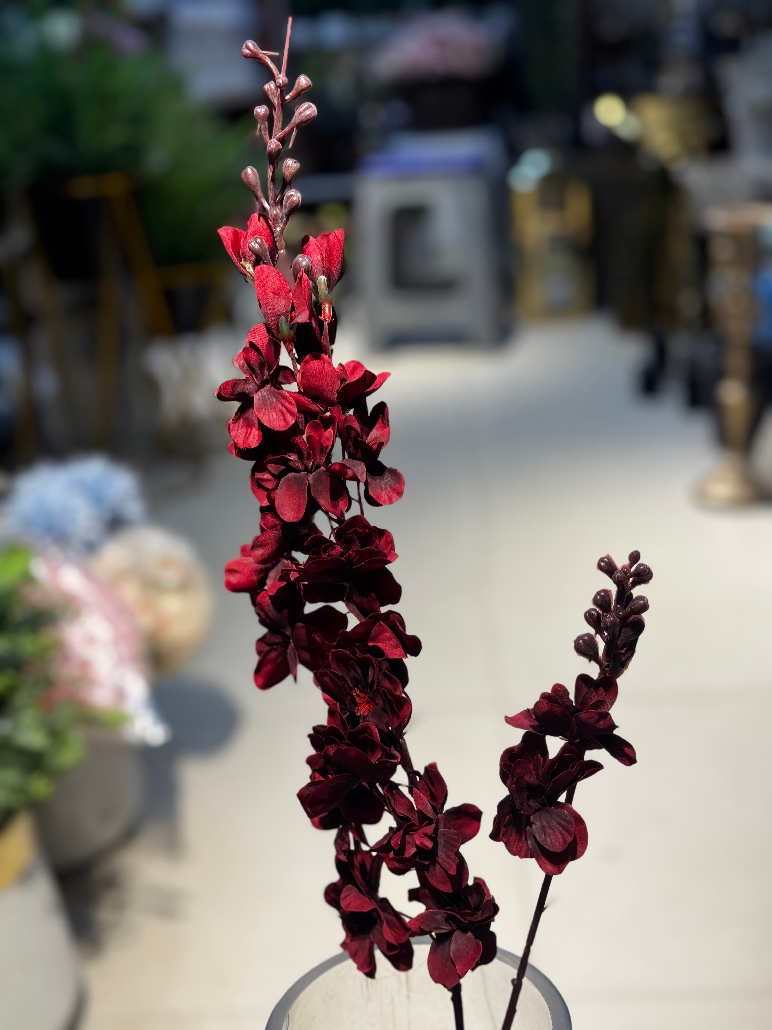 Premium blossoms stems