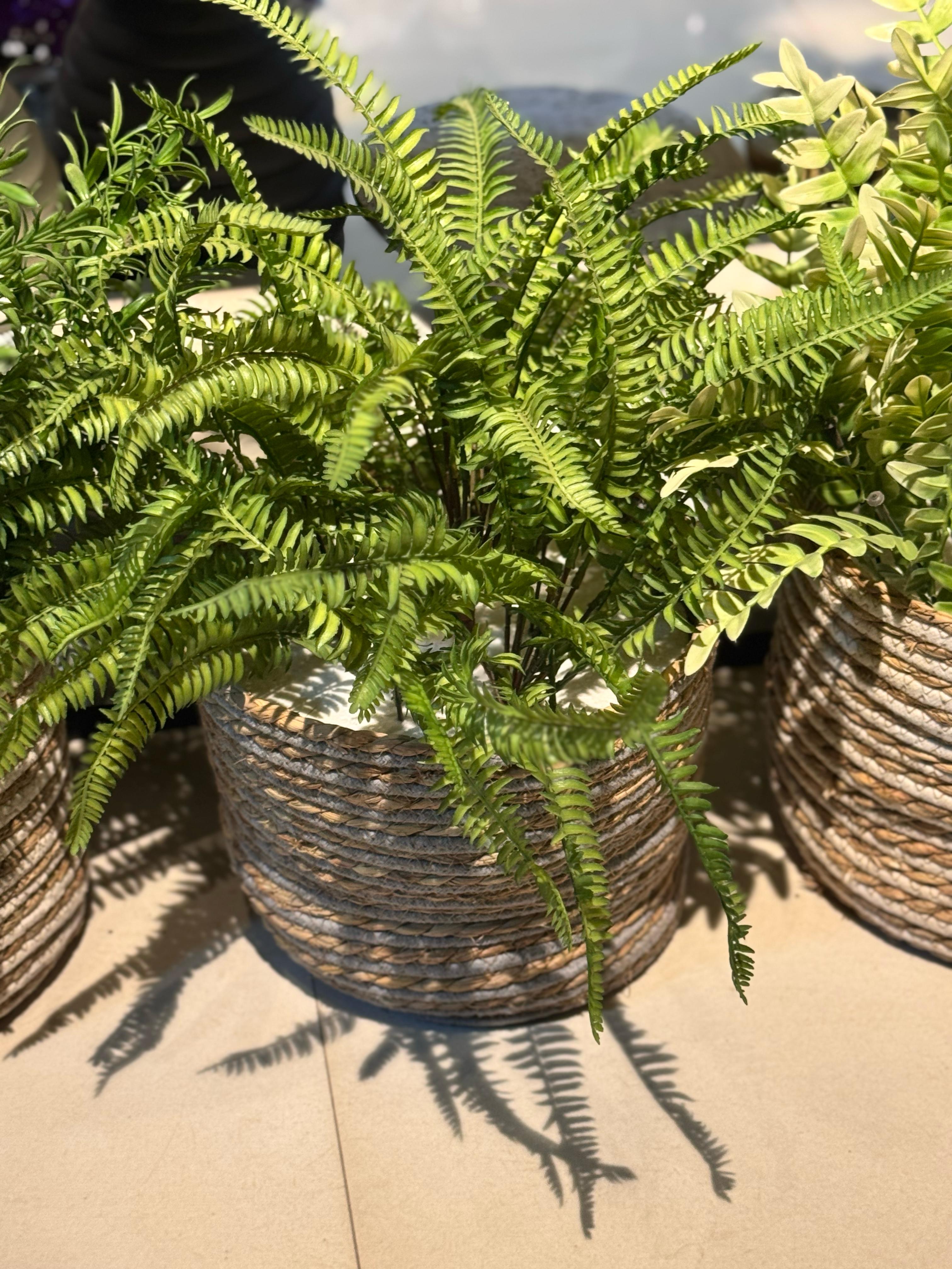 Cane Basket with Fillers