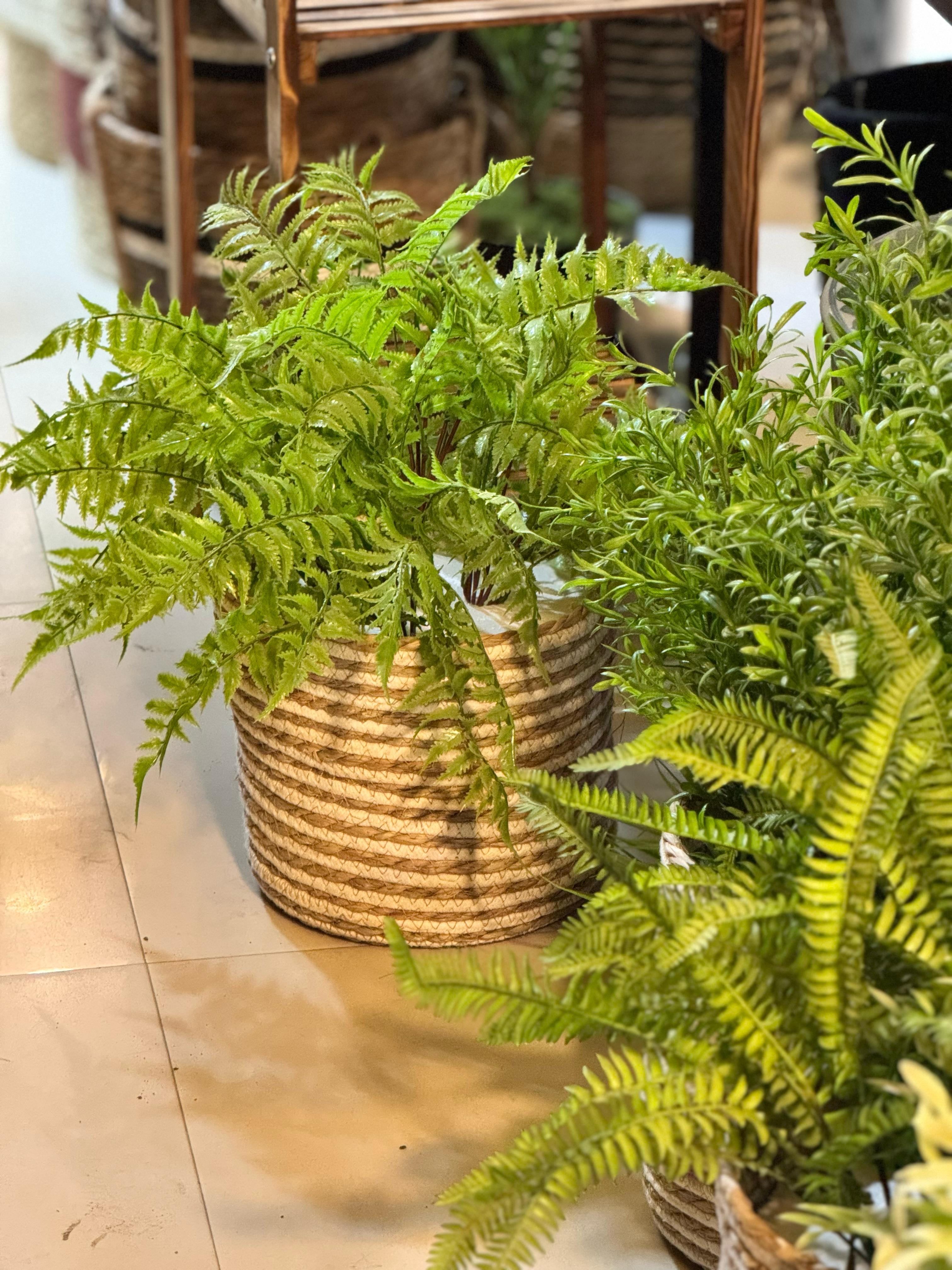 Cane Basket with Fillers