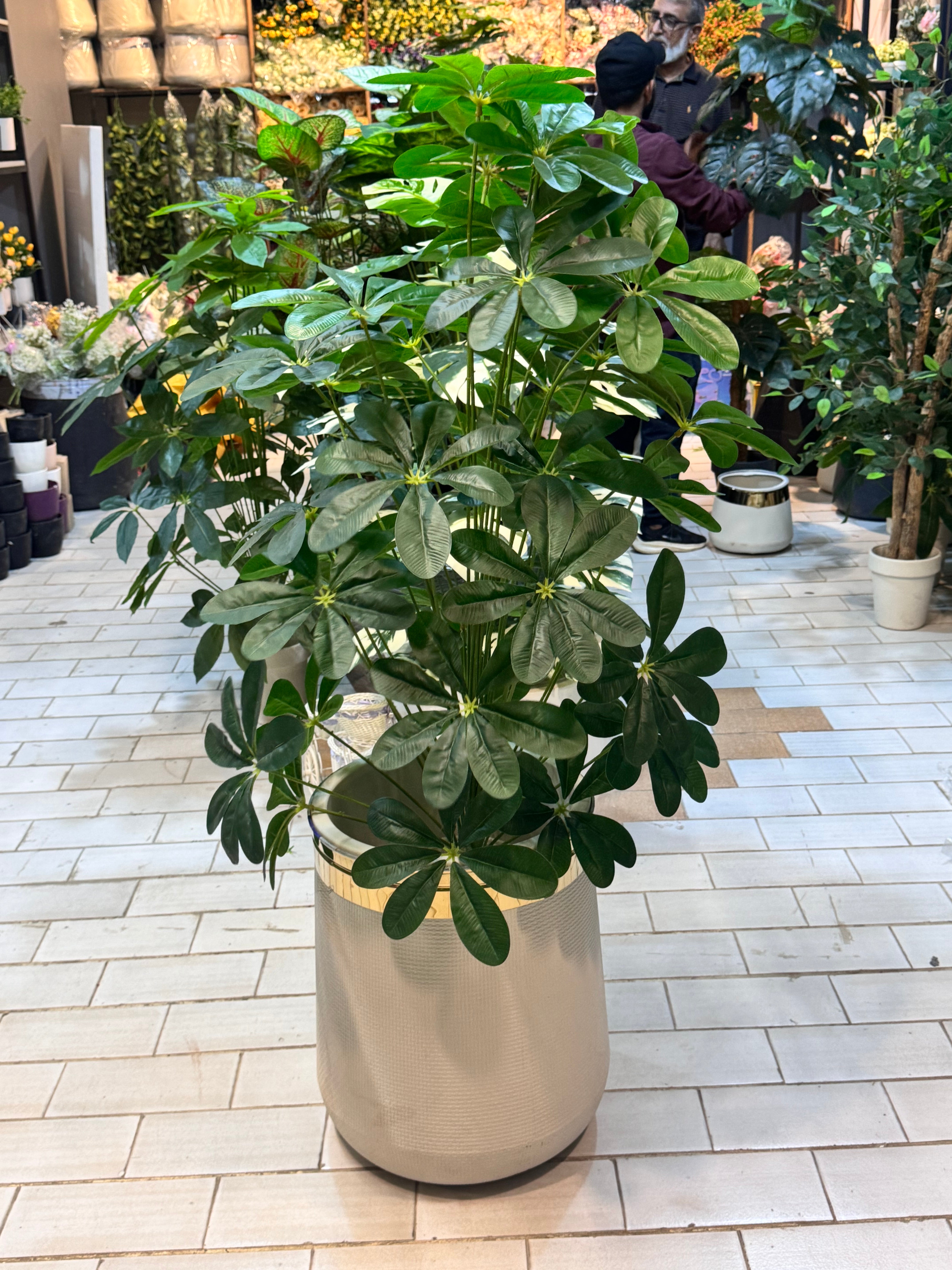 36 leaves plants with planter