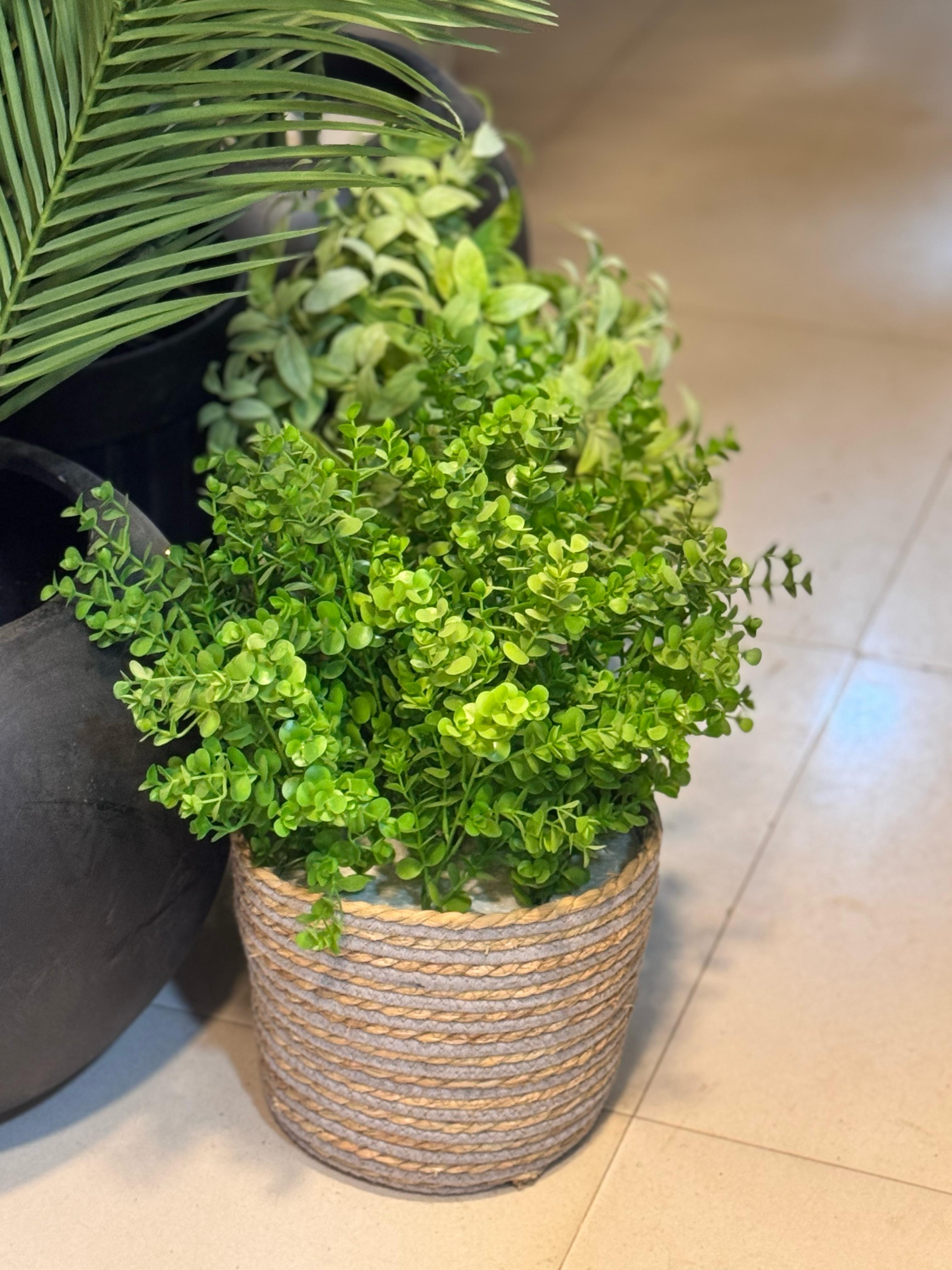 Cane Basket with Fillers