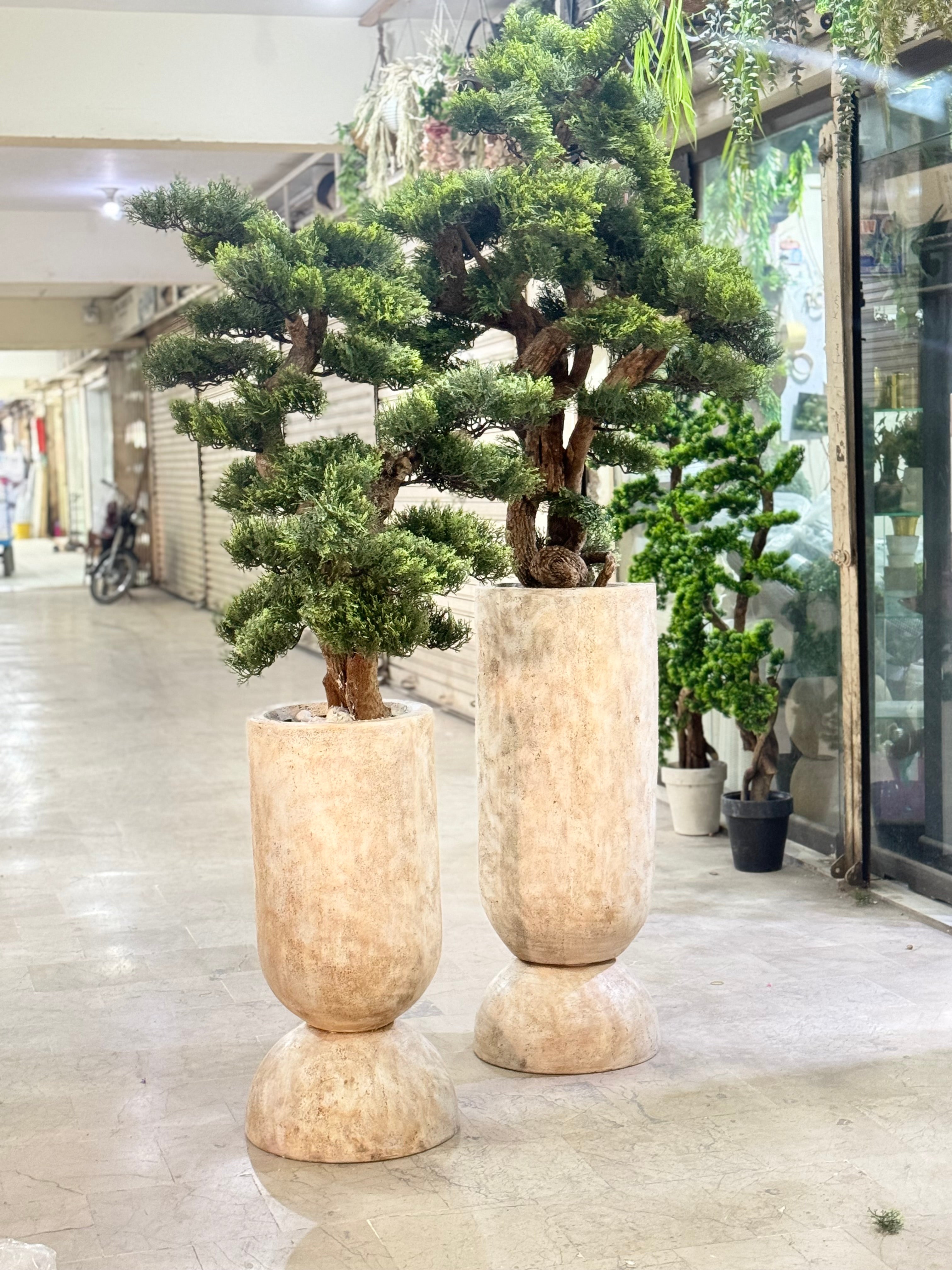 Ivory Pedestal Bonsai Planter.