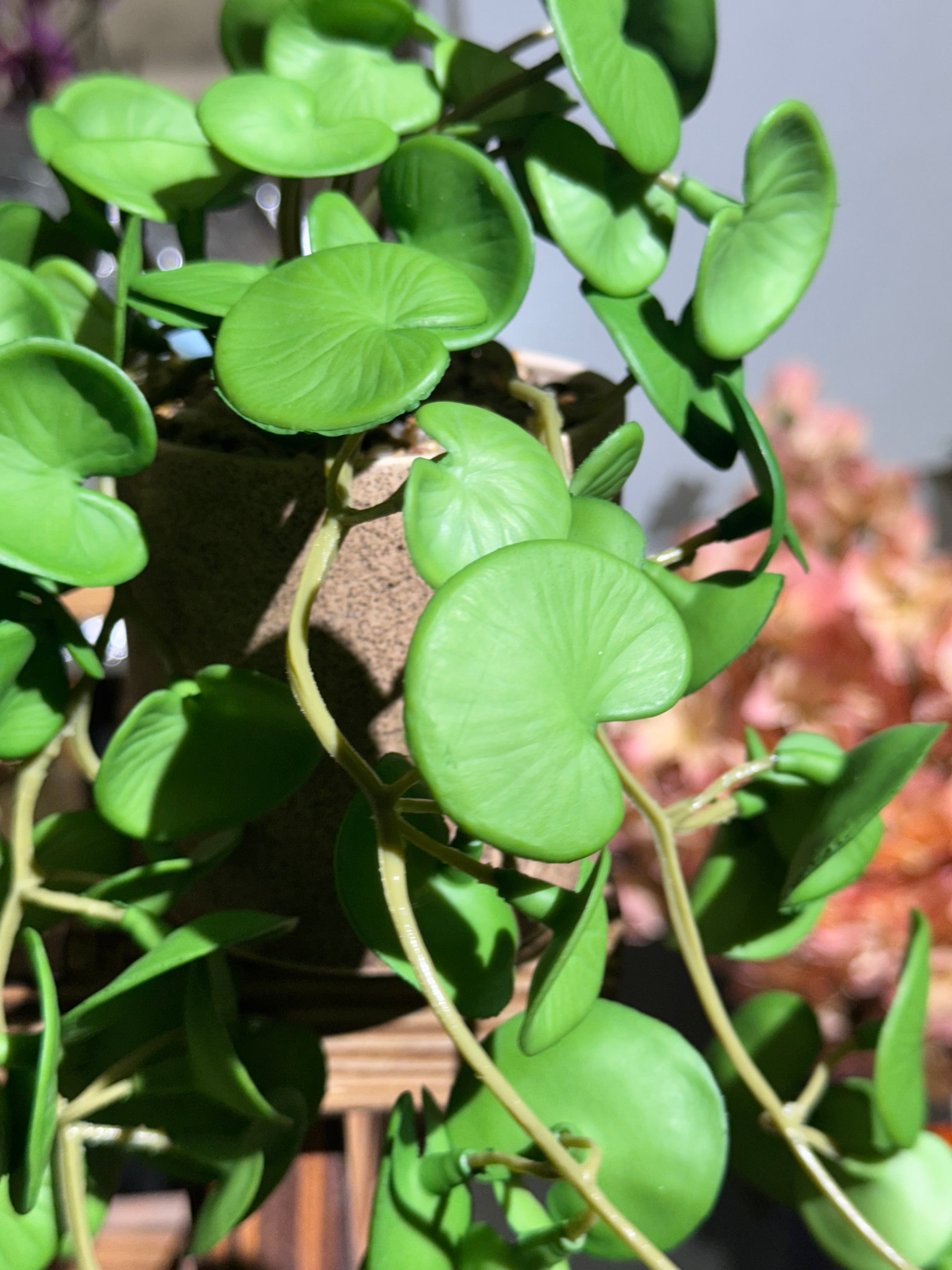 Real Looking hanging plants pot is