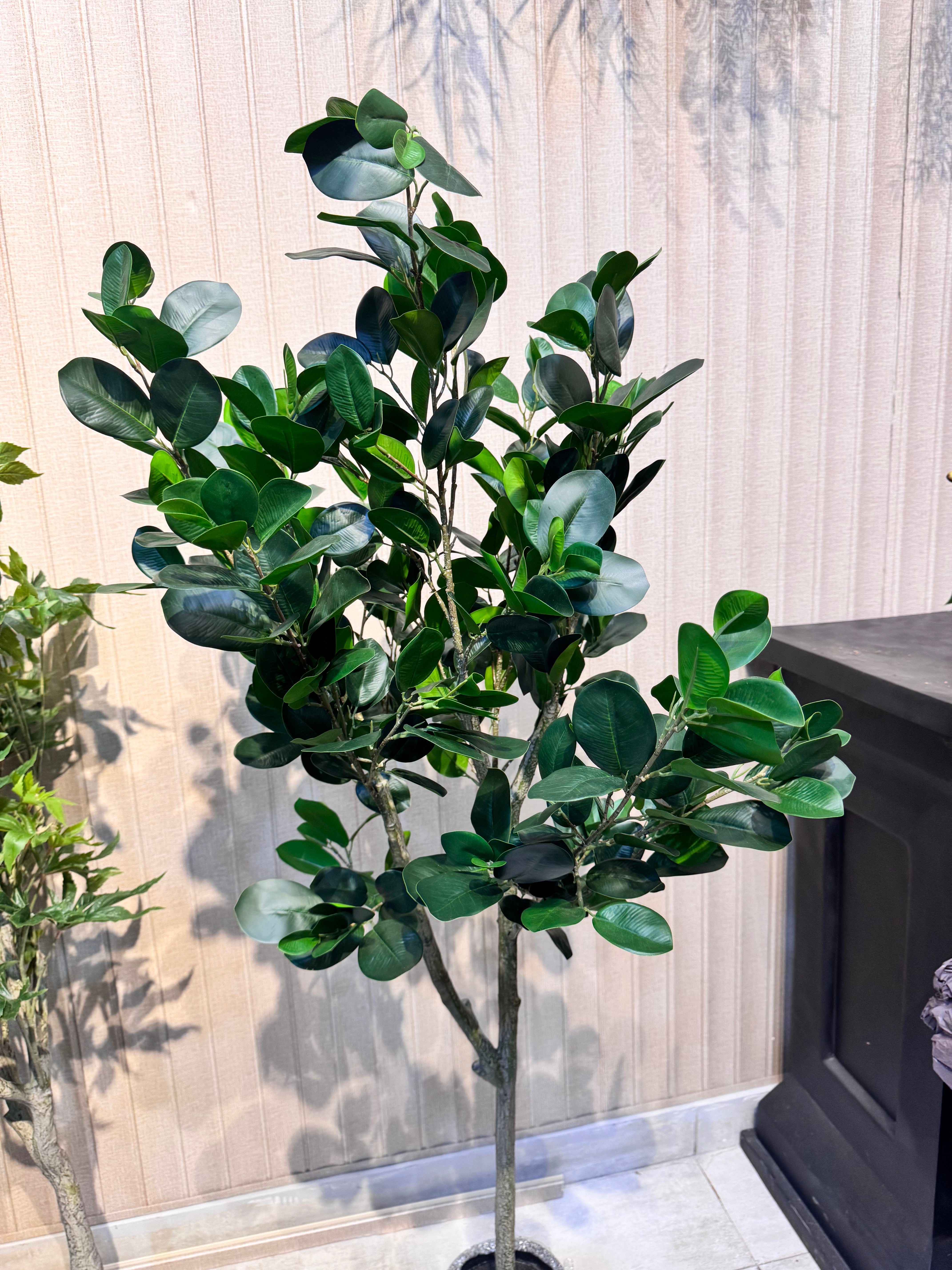 EXCLUSIVE REAL LOOKING PLANTS