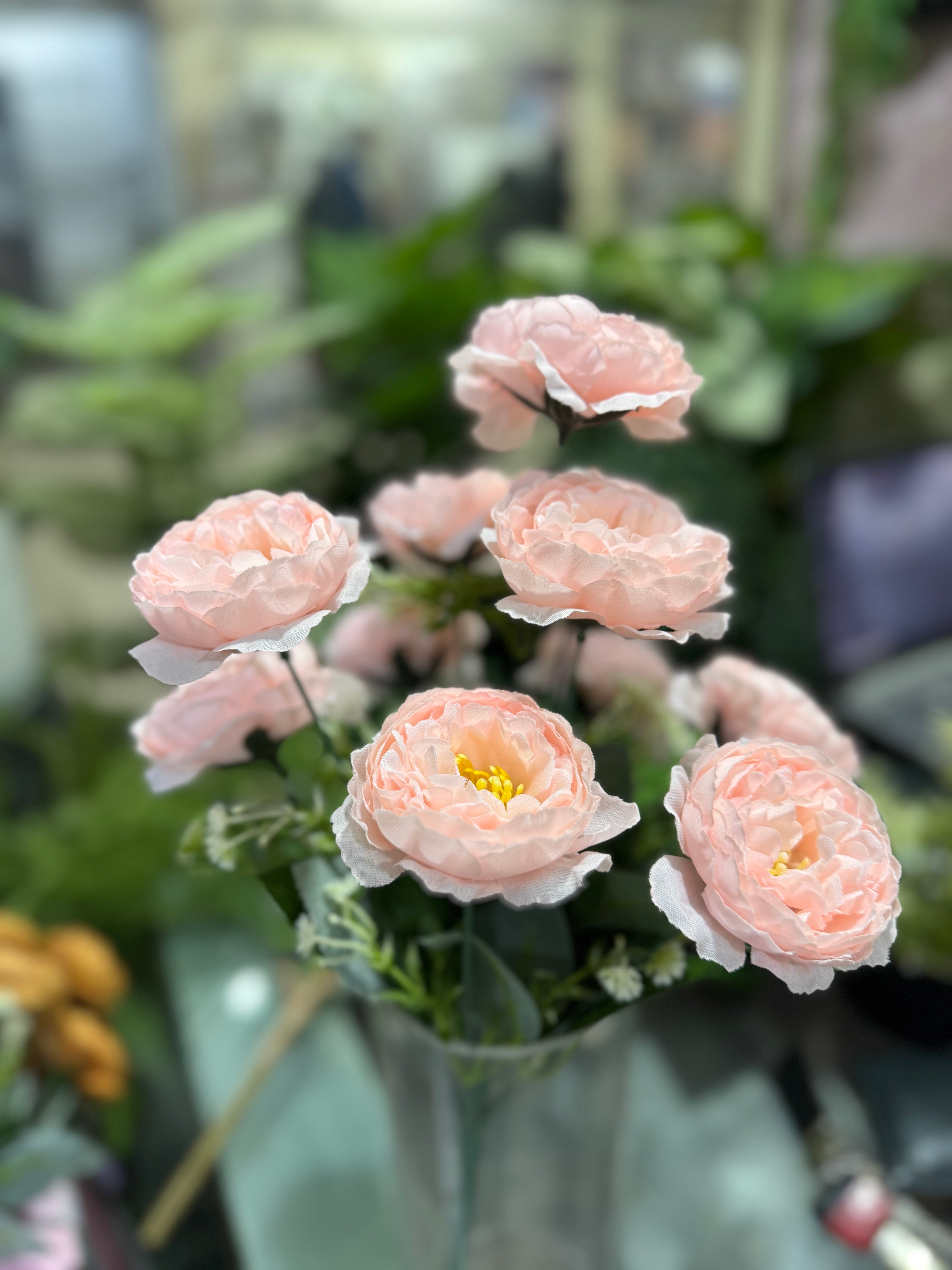 Premium Peonies Bunches