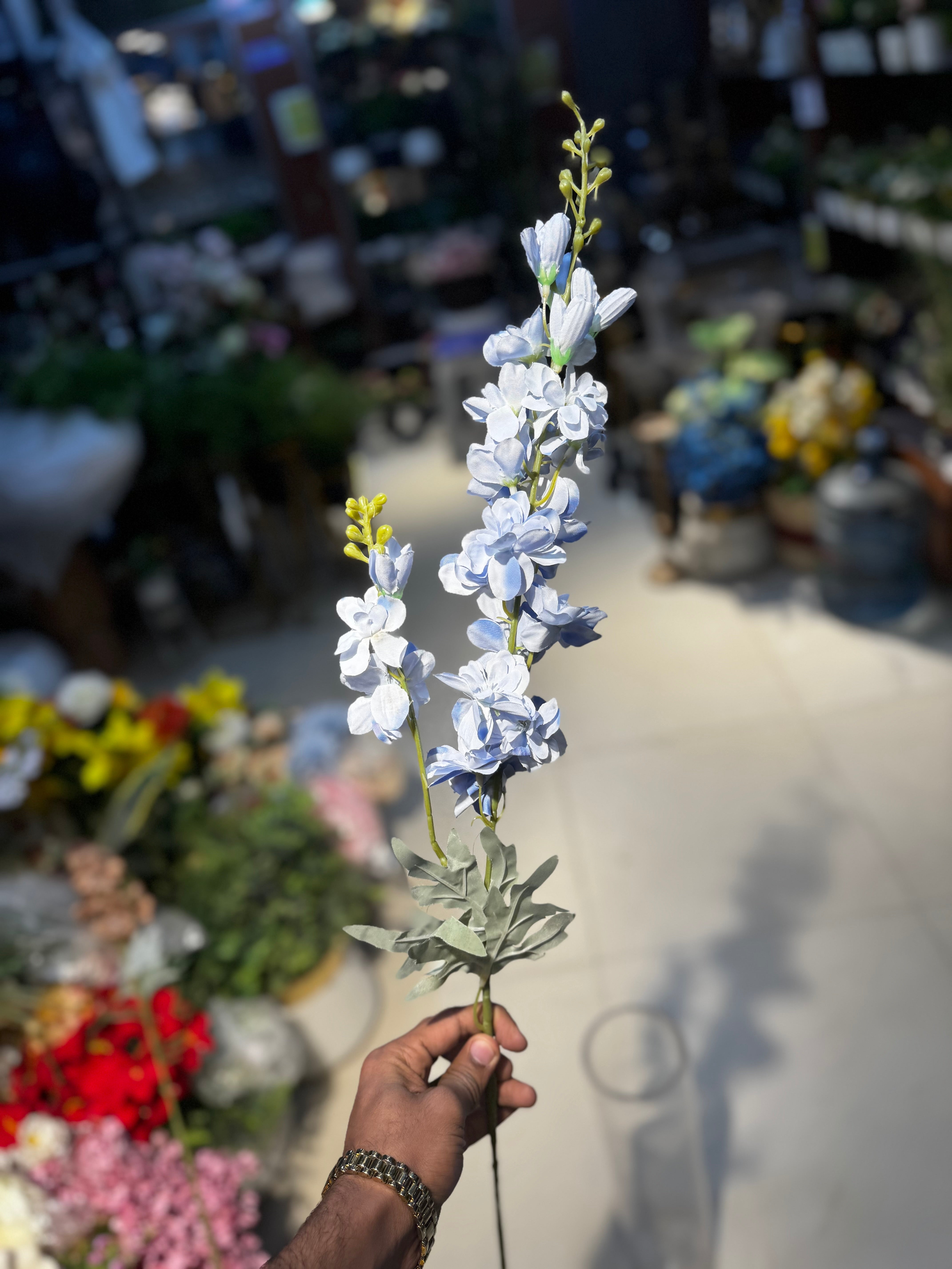 Premium blossoms stems