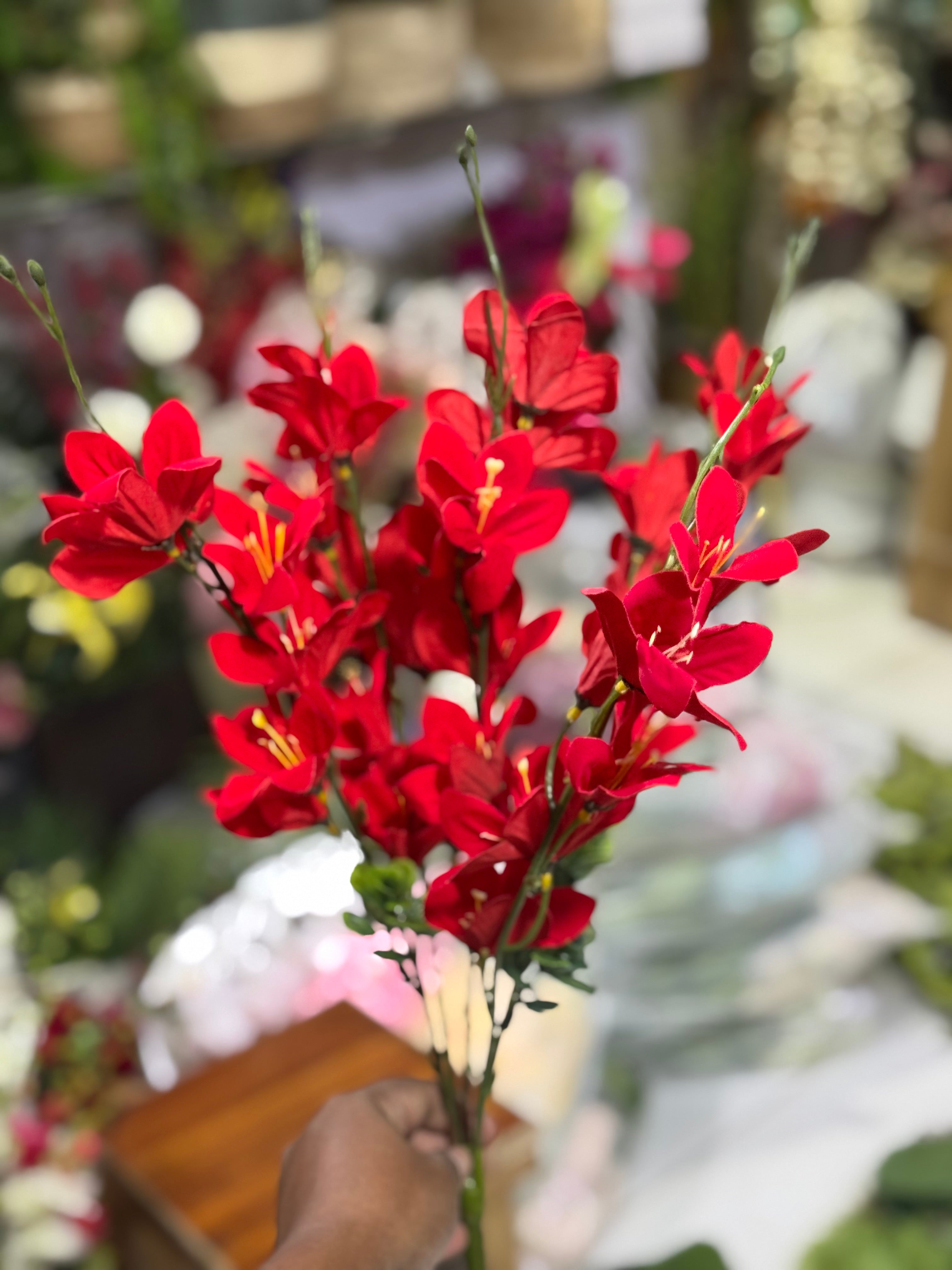 Red blossom bunch