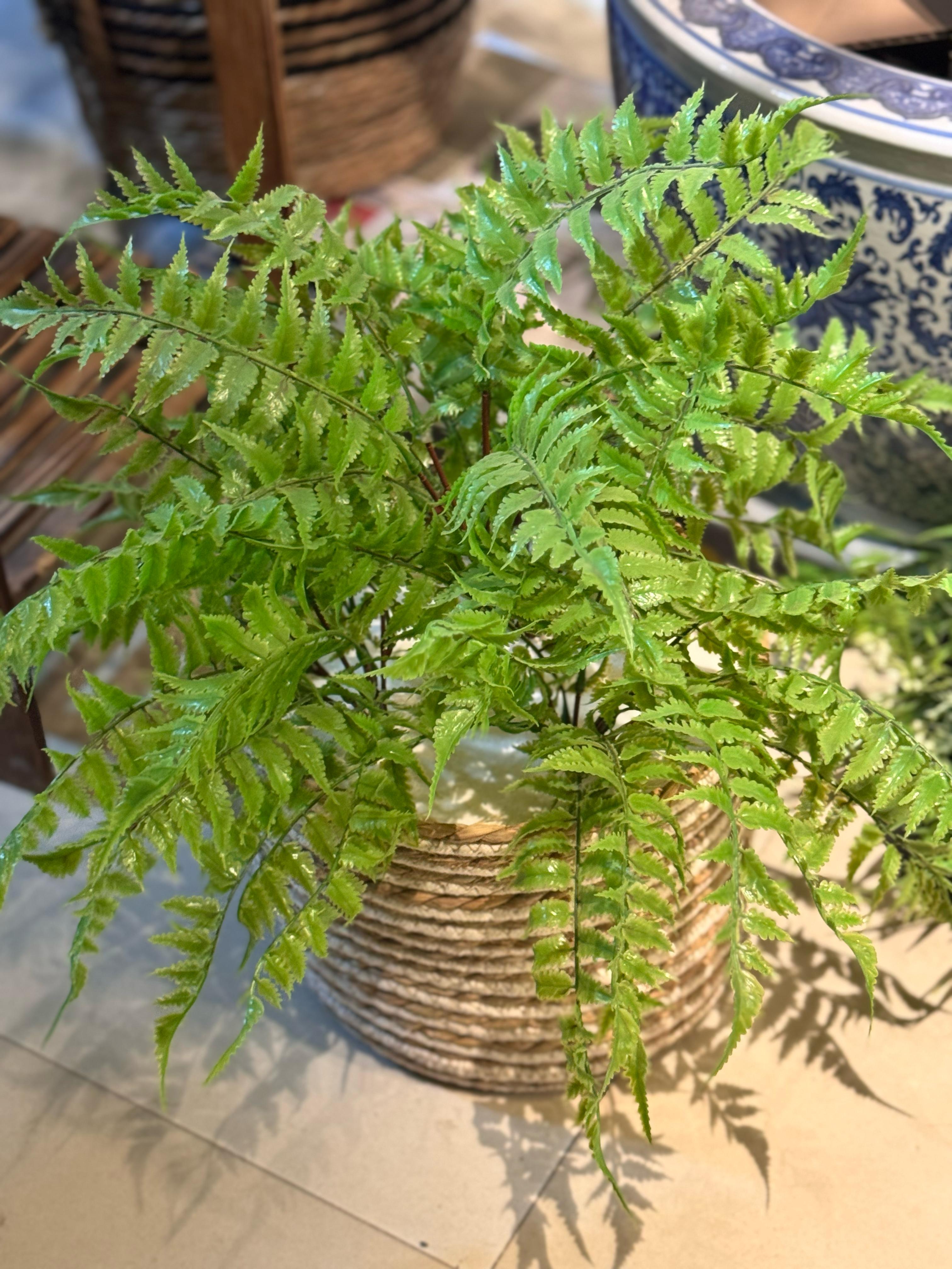 Cane Basket with Fillers