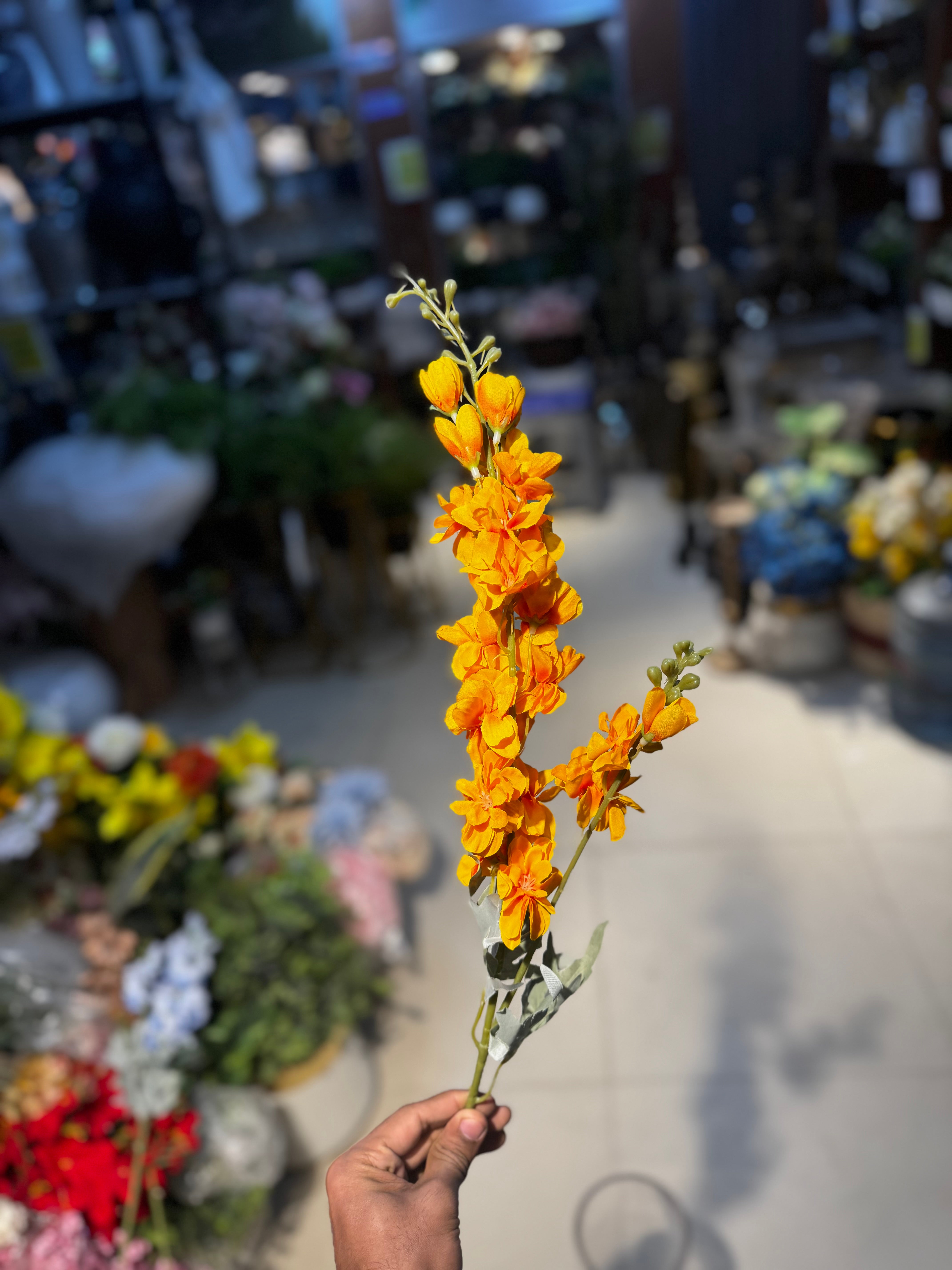 Premium blossoms stems
