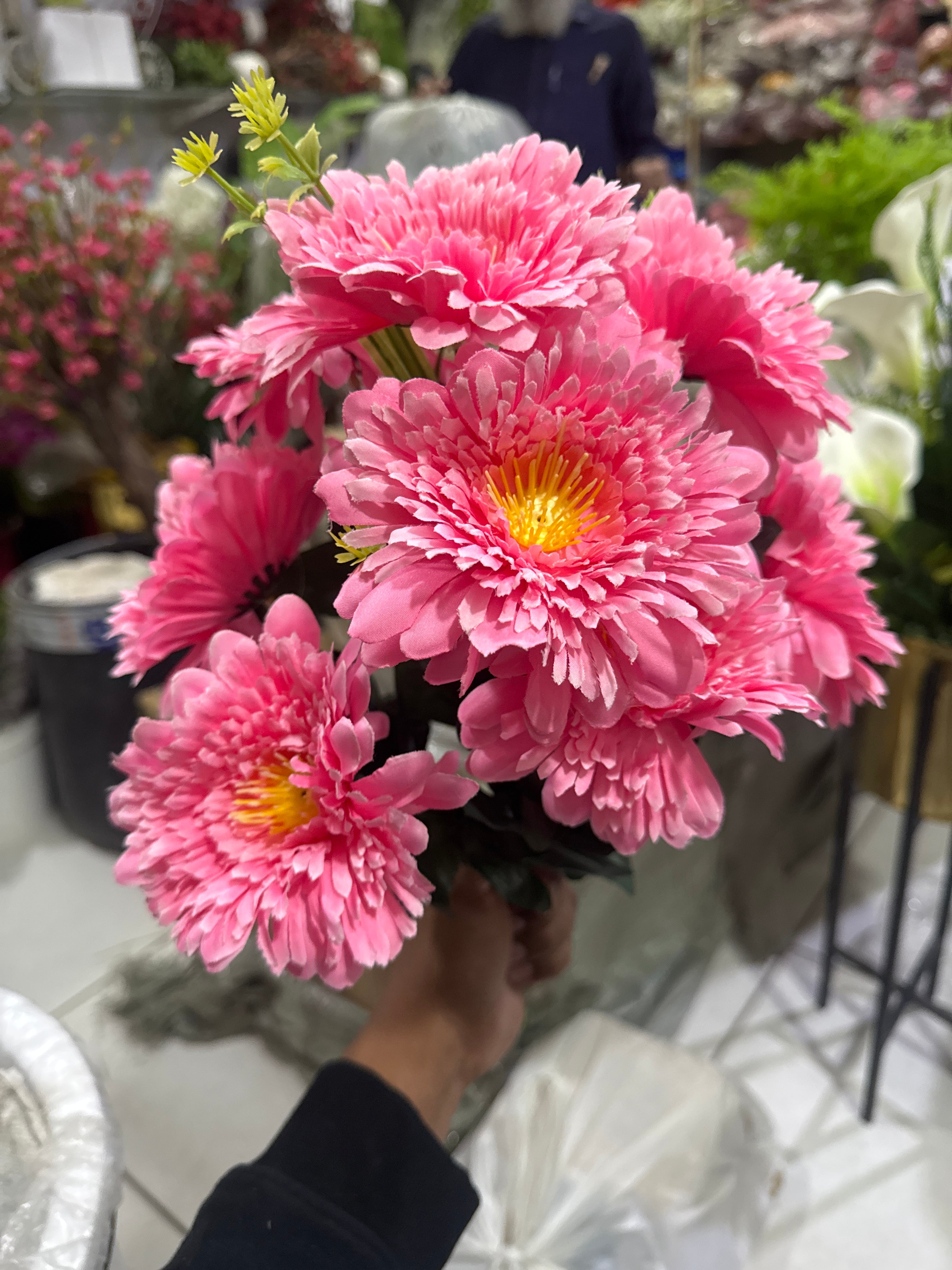 PREMIUM Pink Daisy