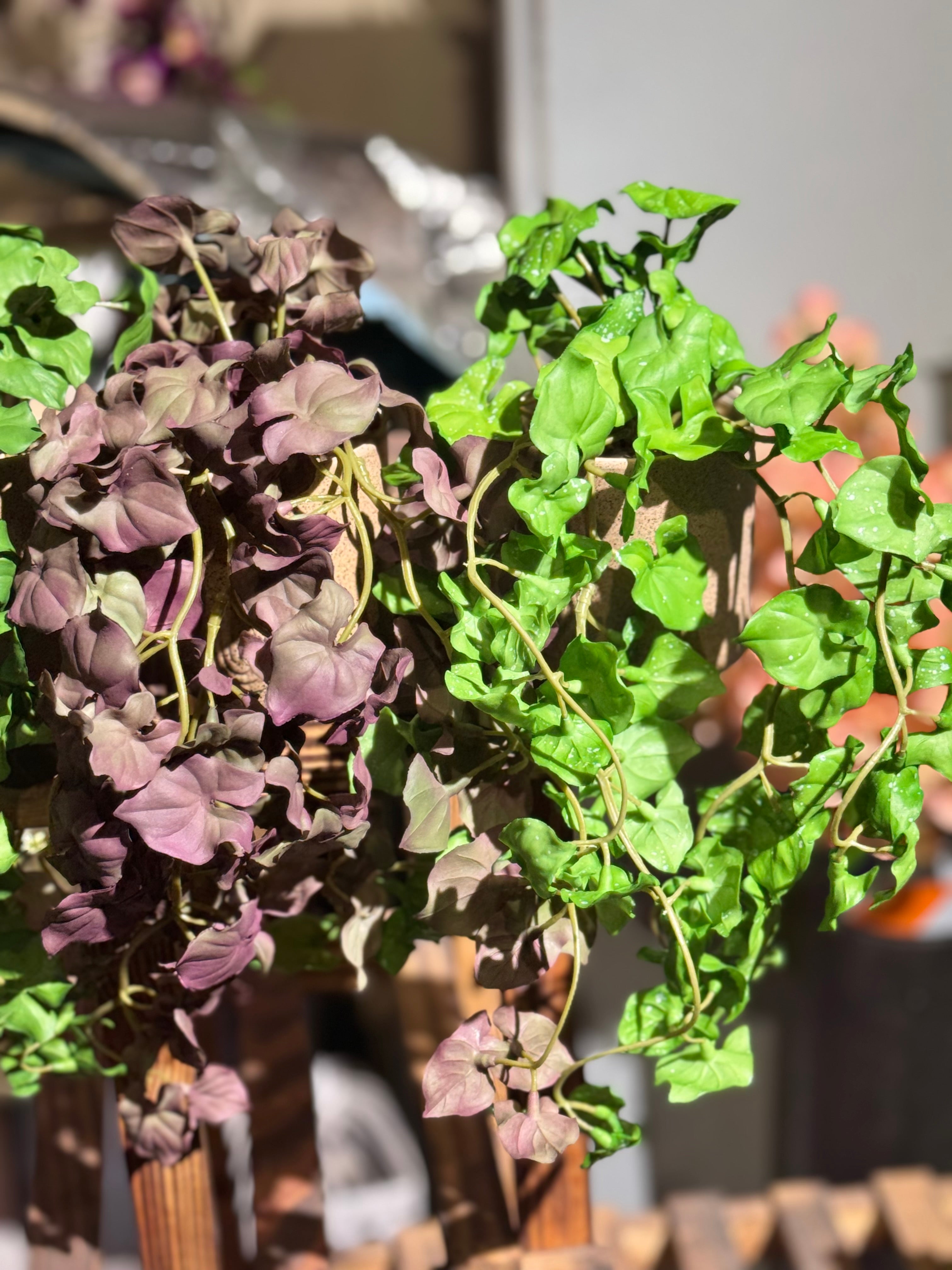 Real Looking hanging plants pot is