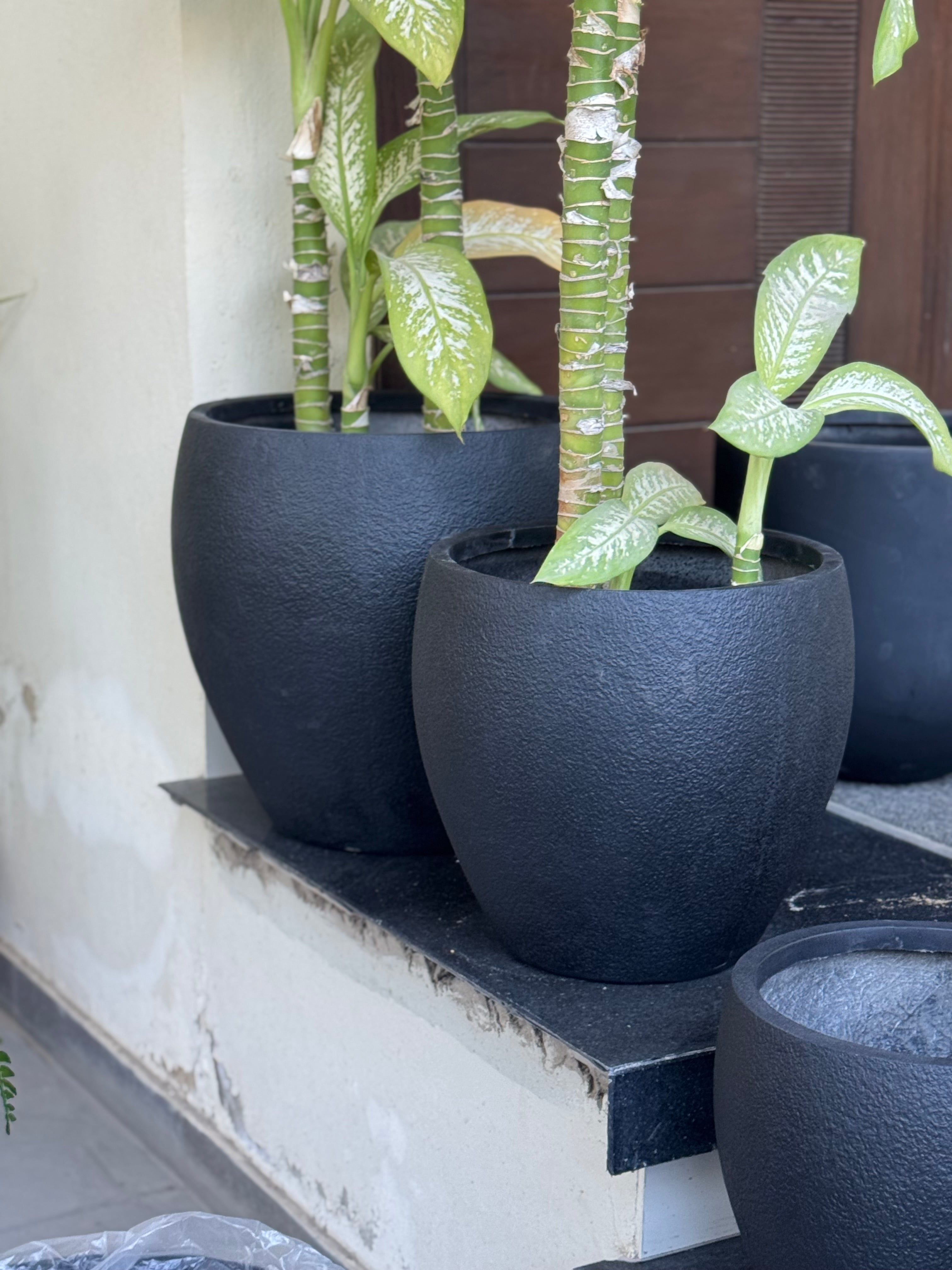 Texture planter set