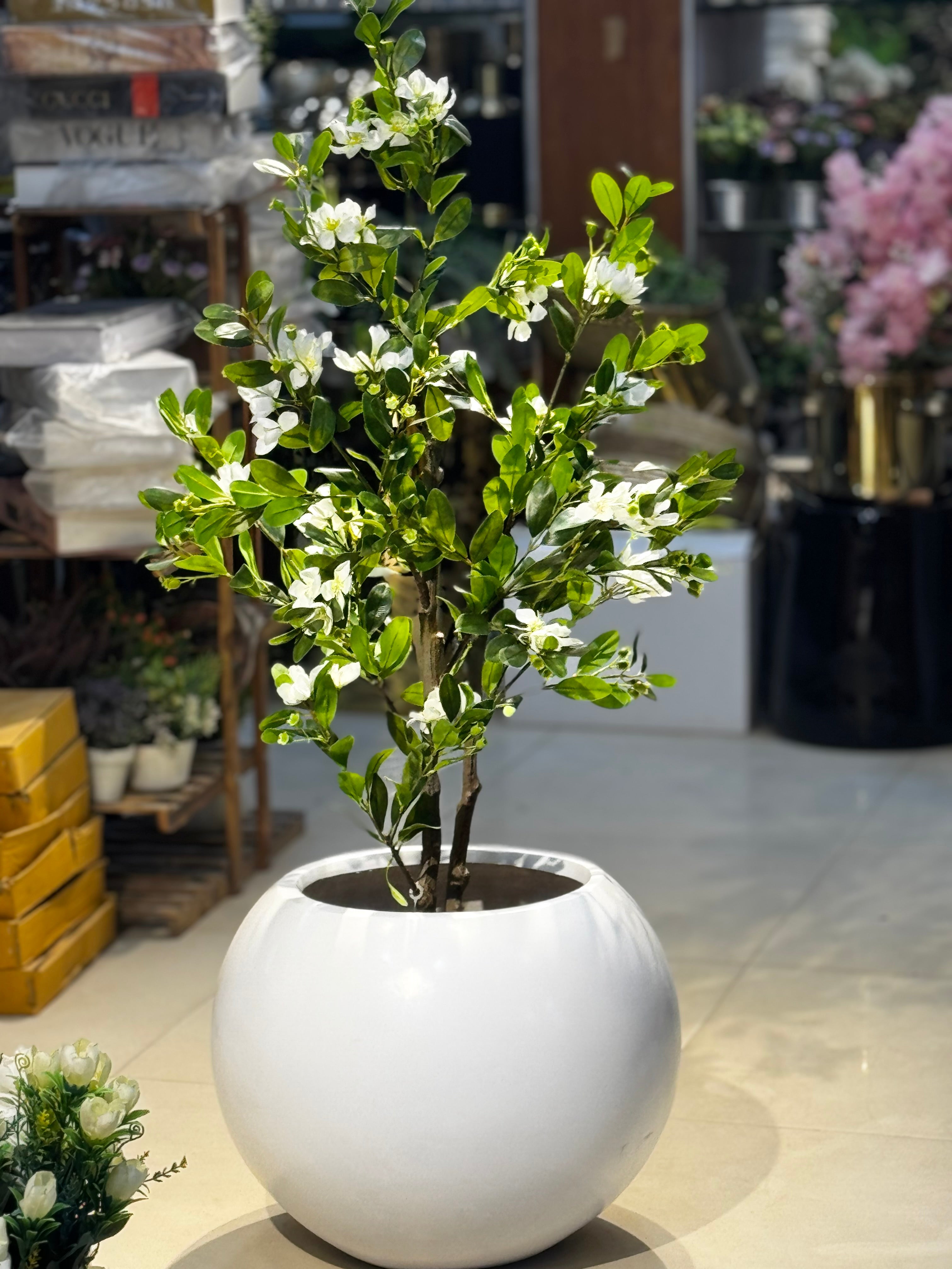 Elysian white blossom Tree