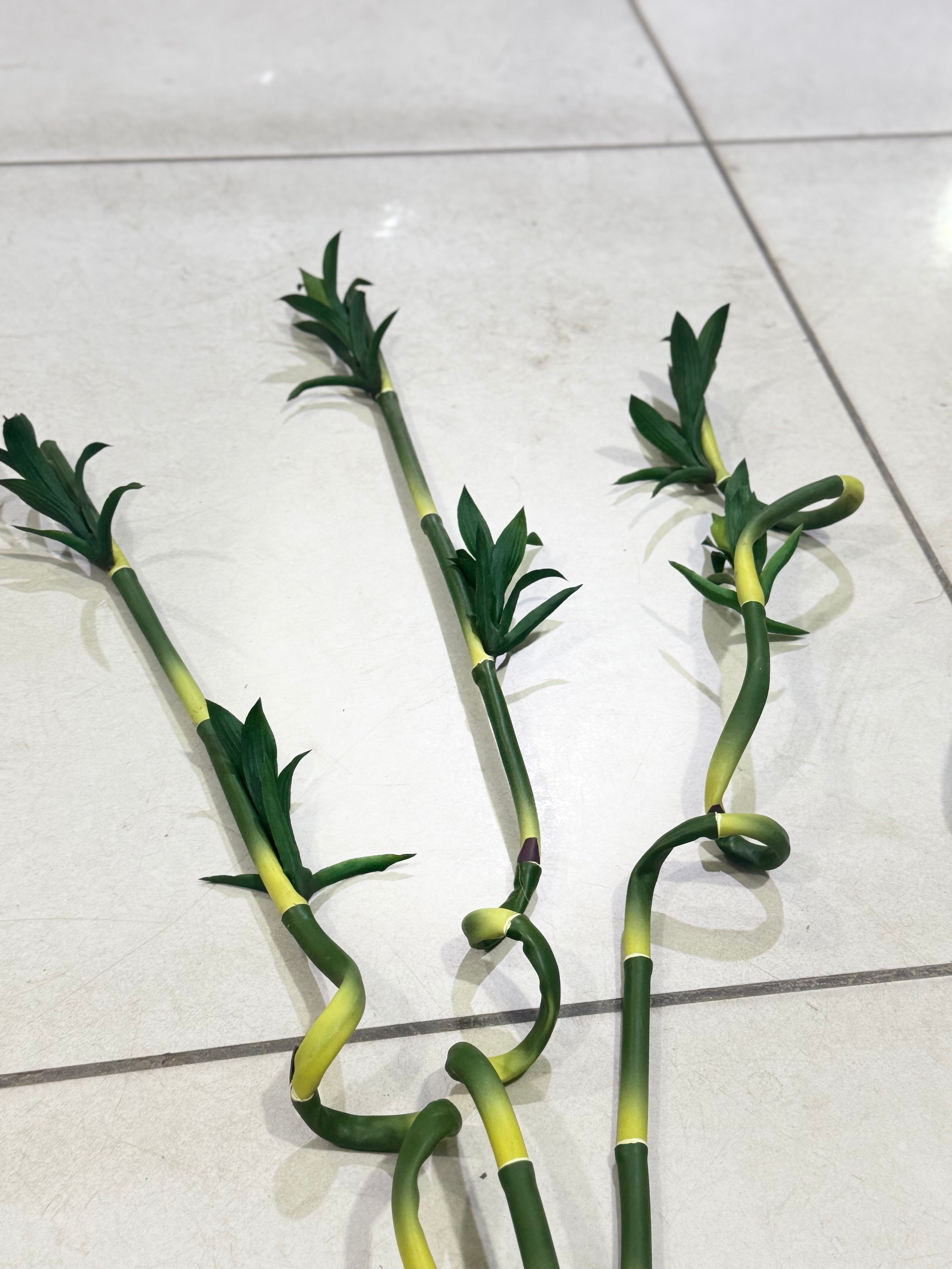 LUCKY BAMBO STEM