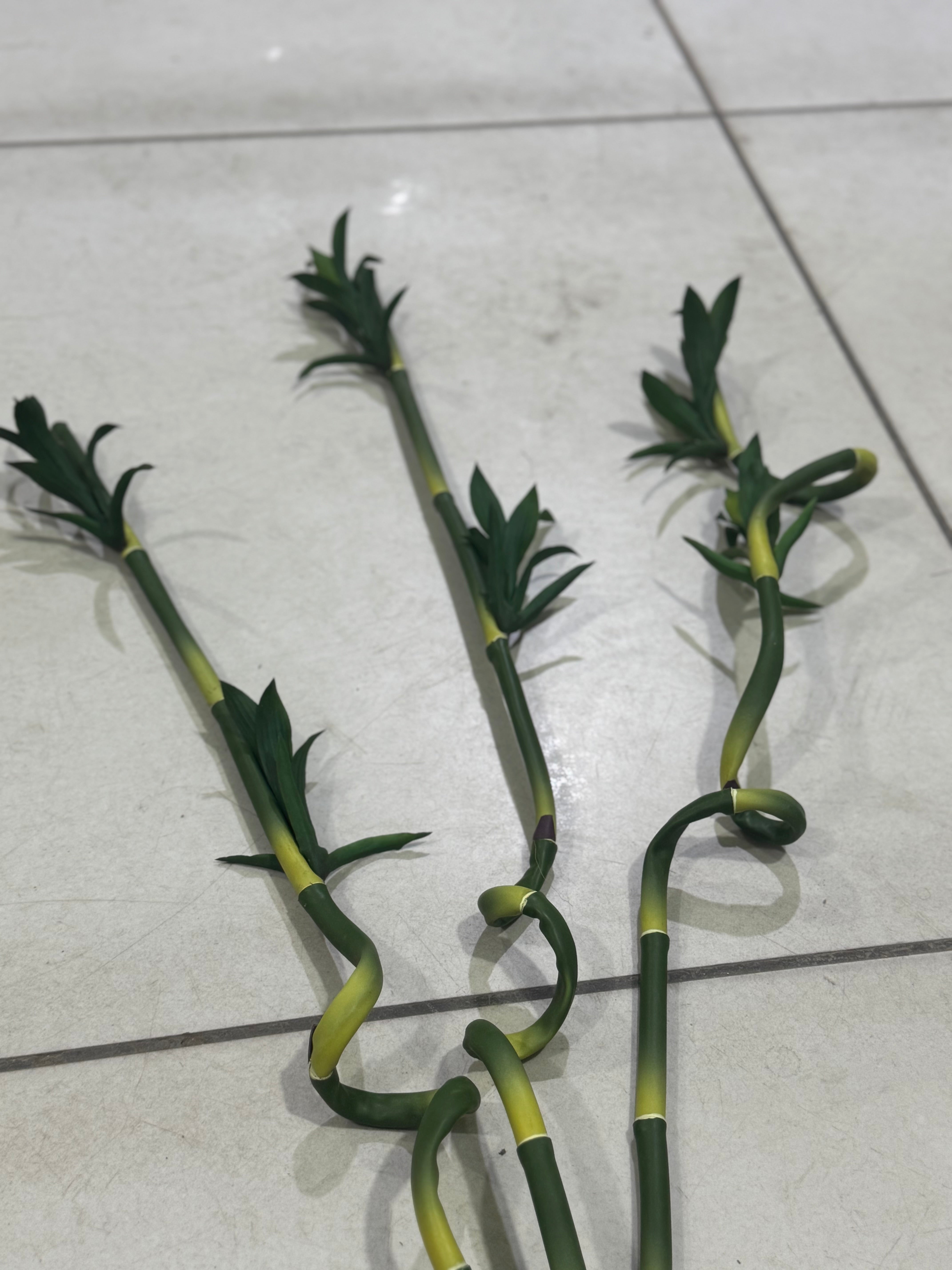 LUCKY BAMBO STEM