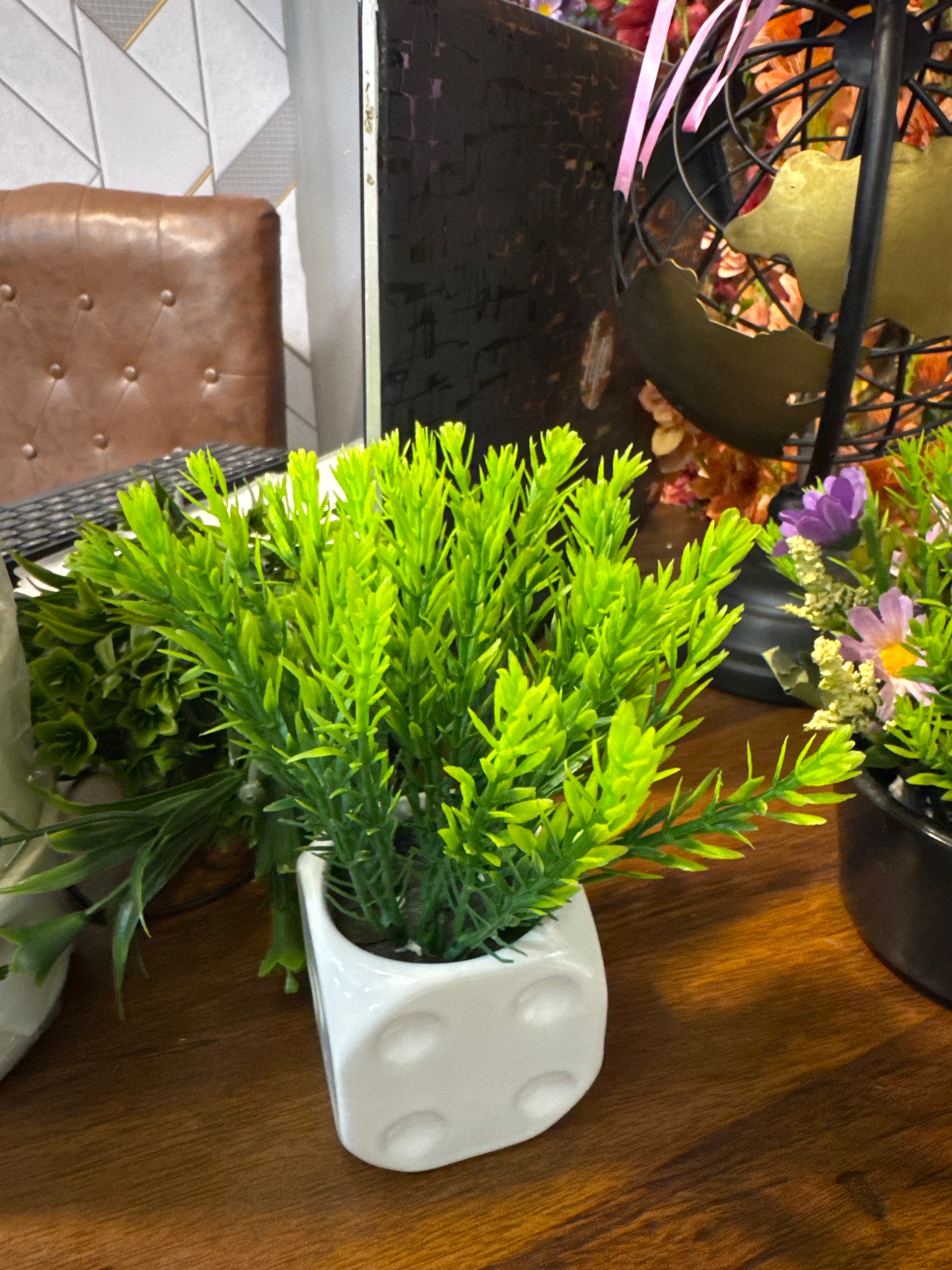 dice plant pot Ceramic dice pot – Fantasia Florist