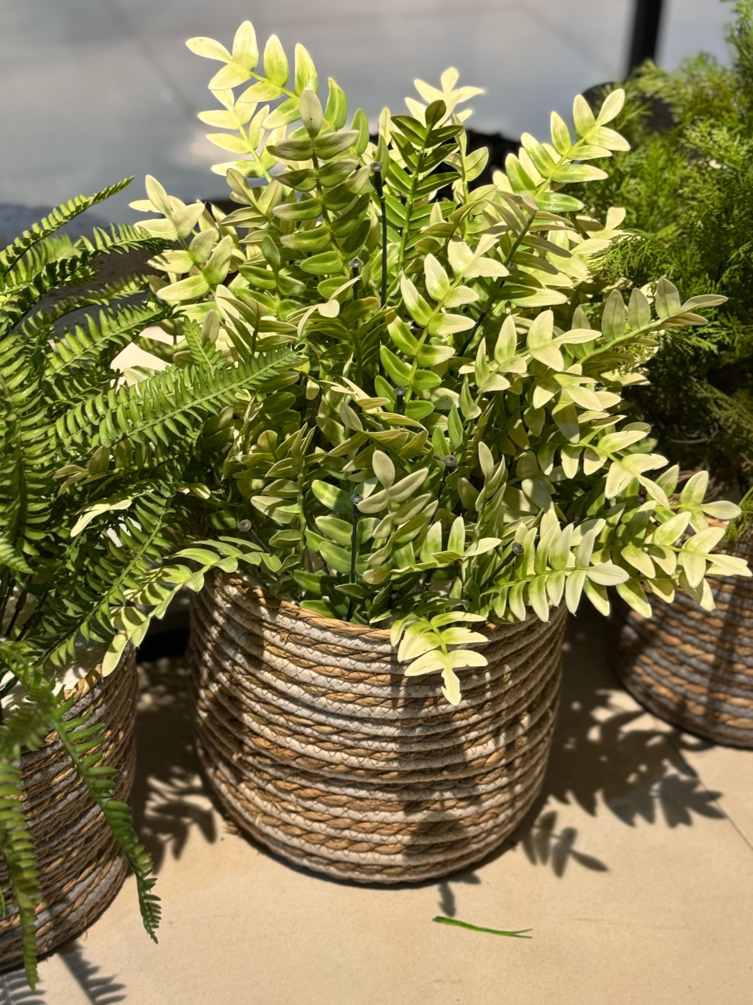 Cane Basket with Fillers