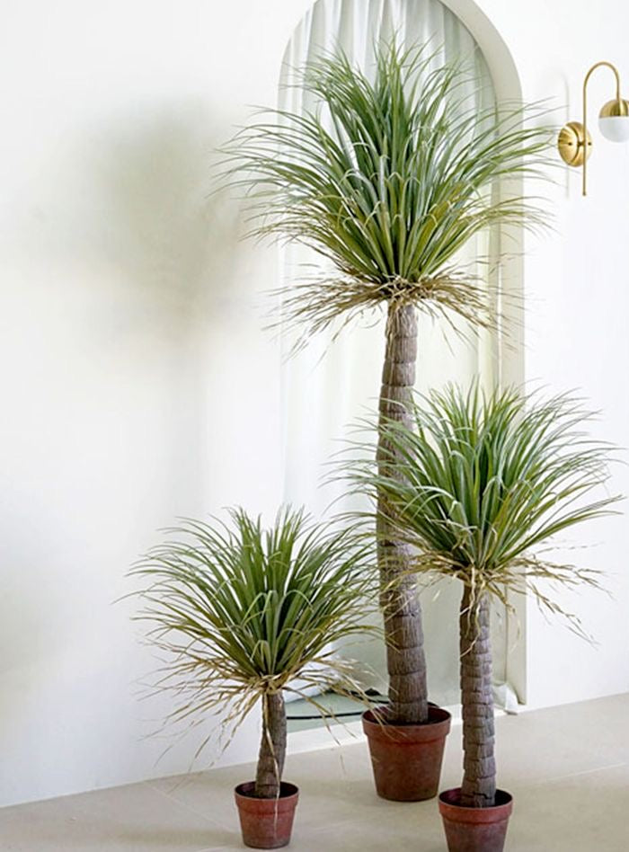 Artificial Tall Yucca Plant
