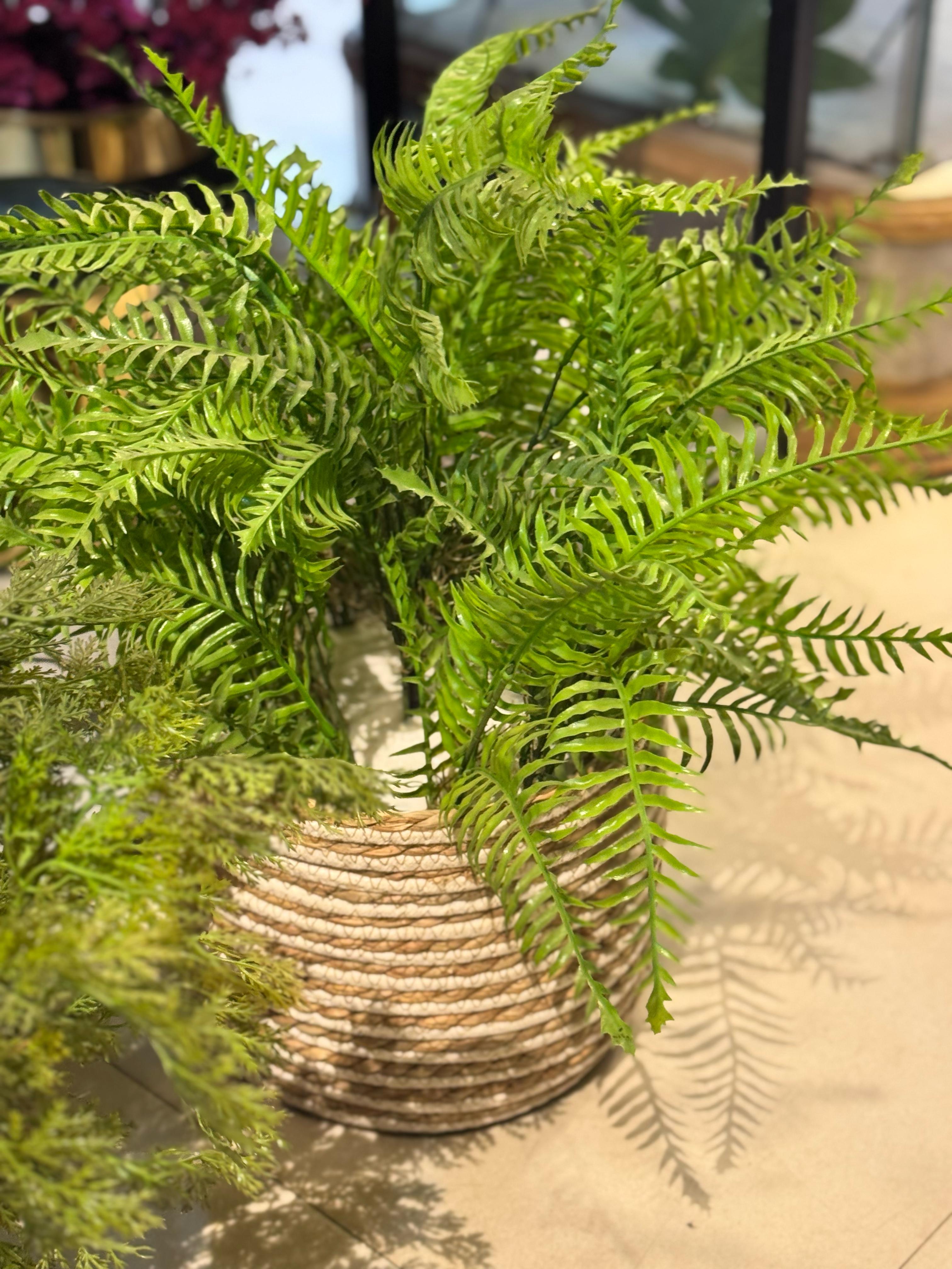Cane Basket with Fillers
