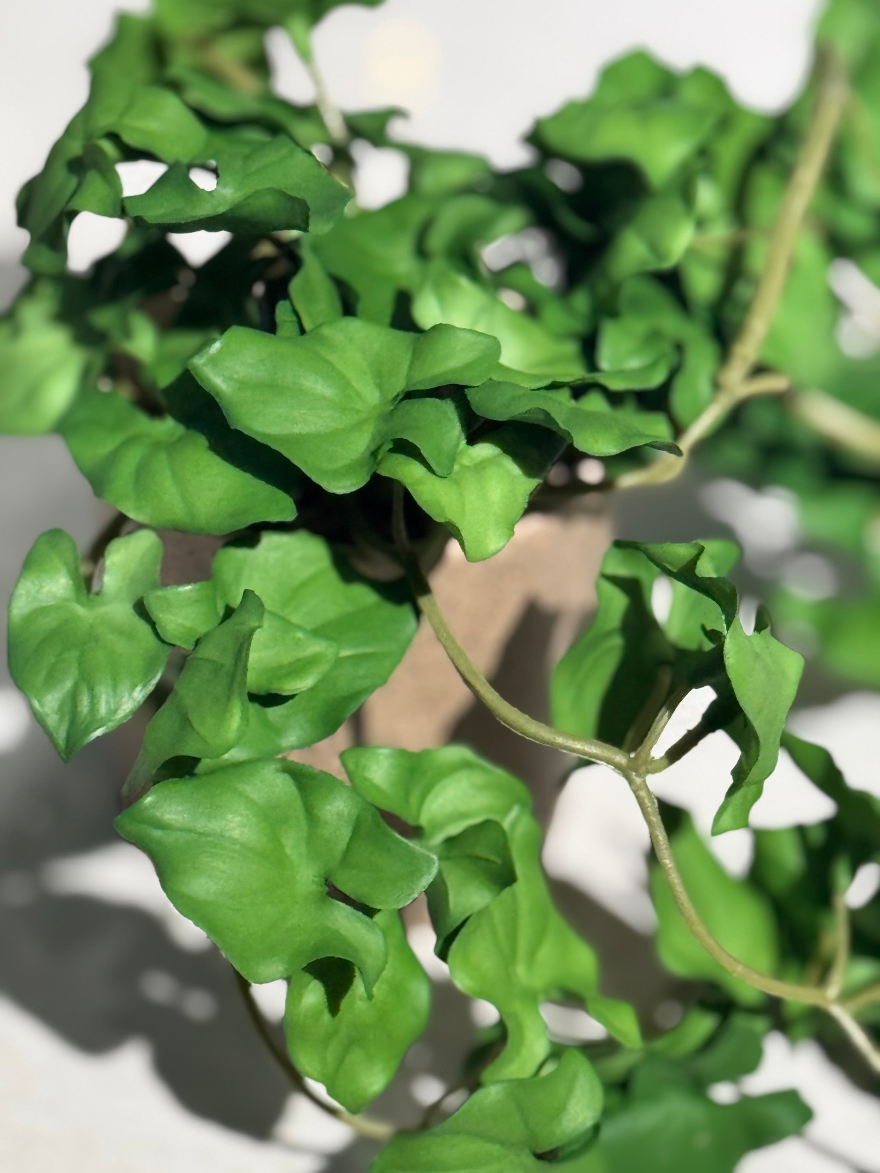 Real Looking hanging plants pot is